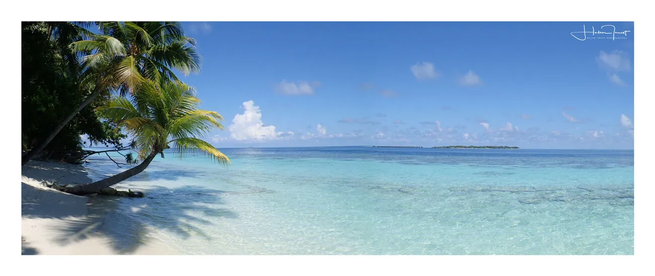 Entry 1263186