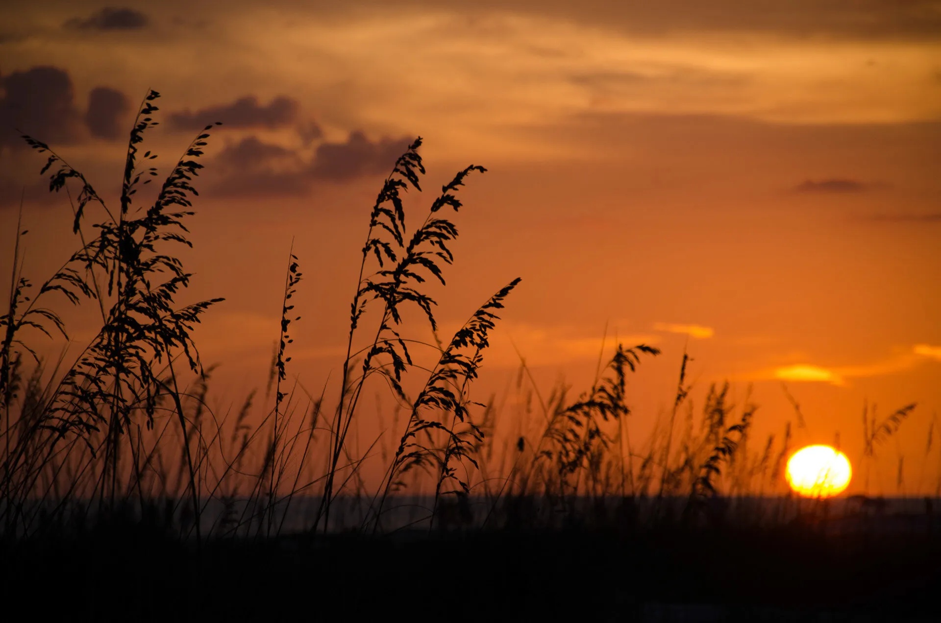 Sunset on the beach