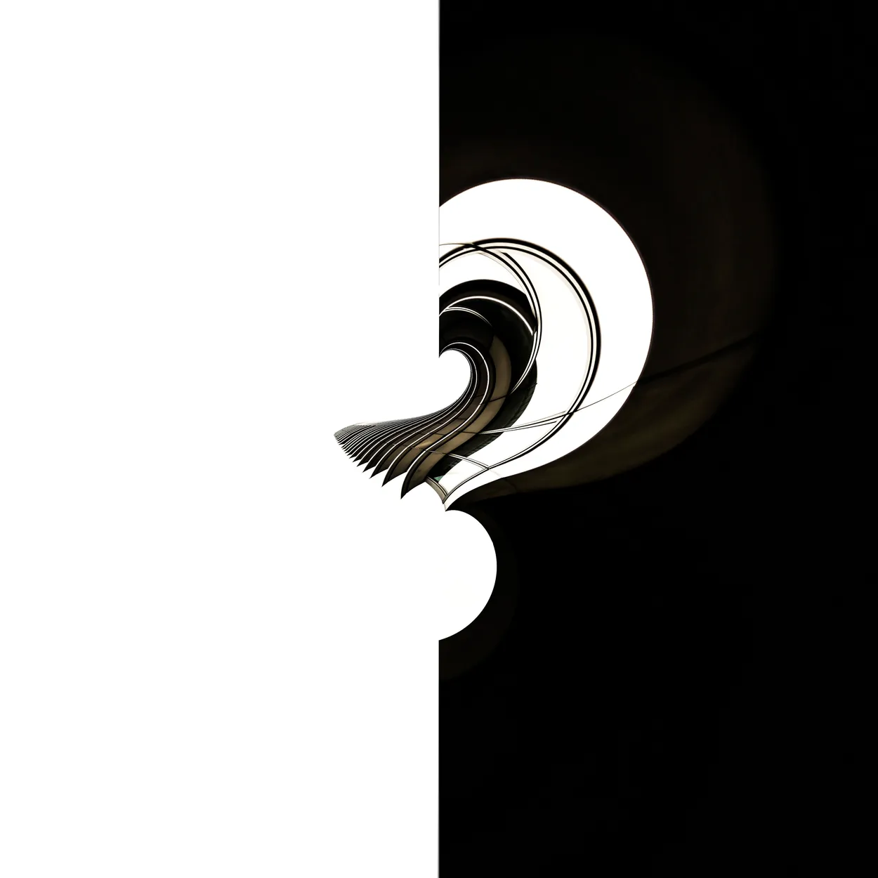 Entry 7008445
