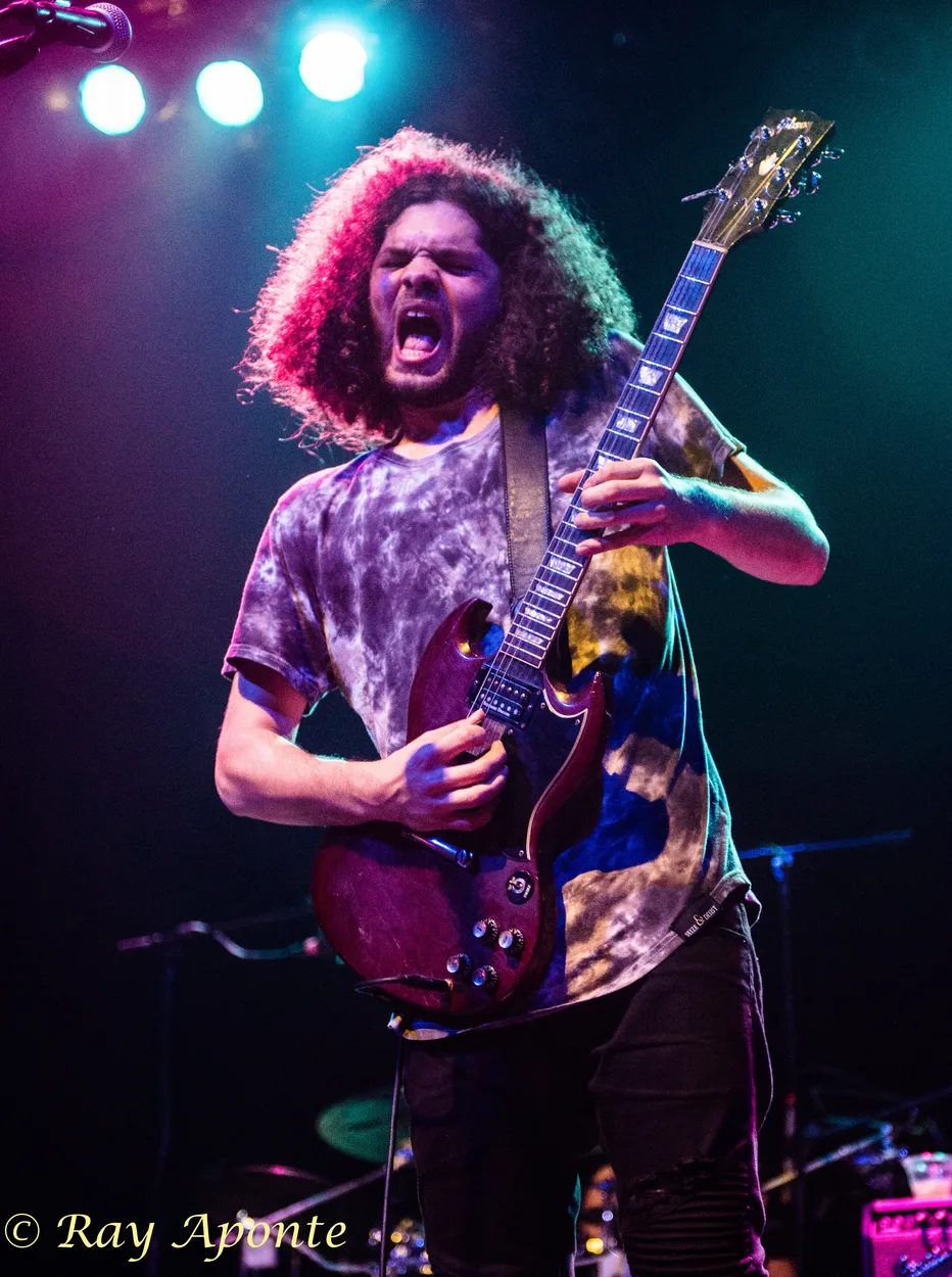 Entry 1274145