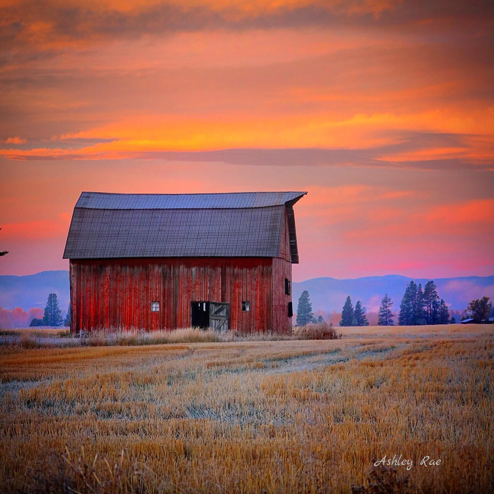 Old Barn
