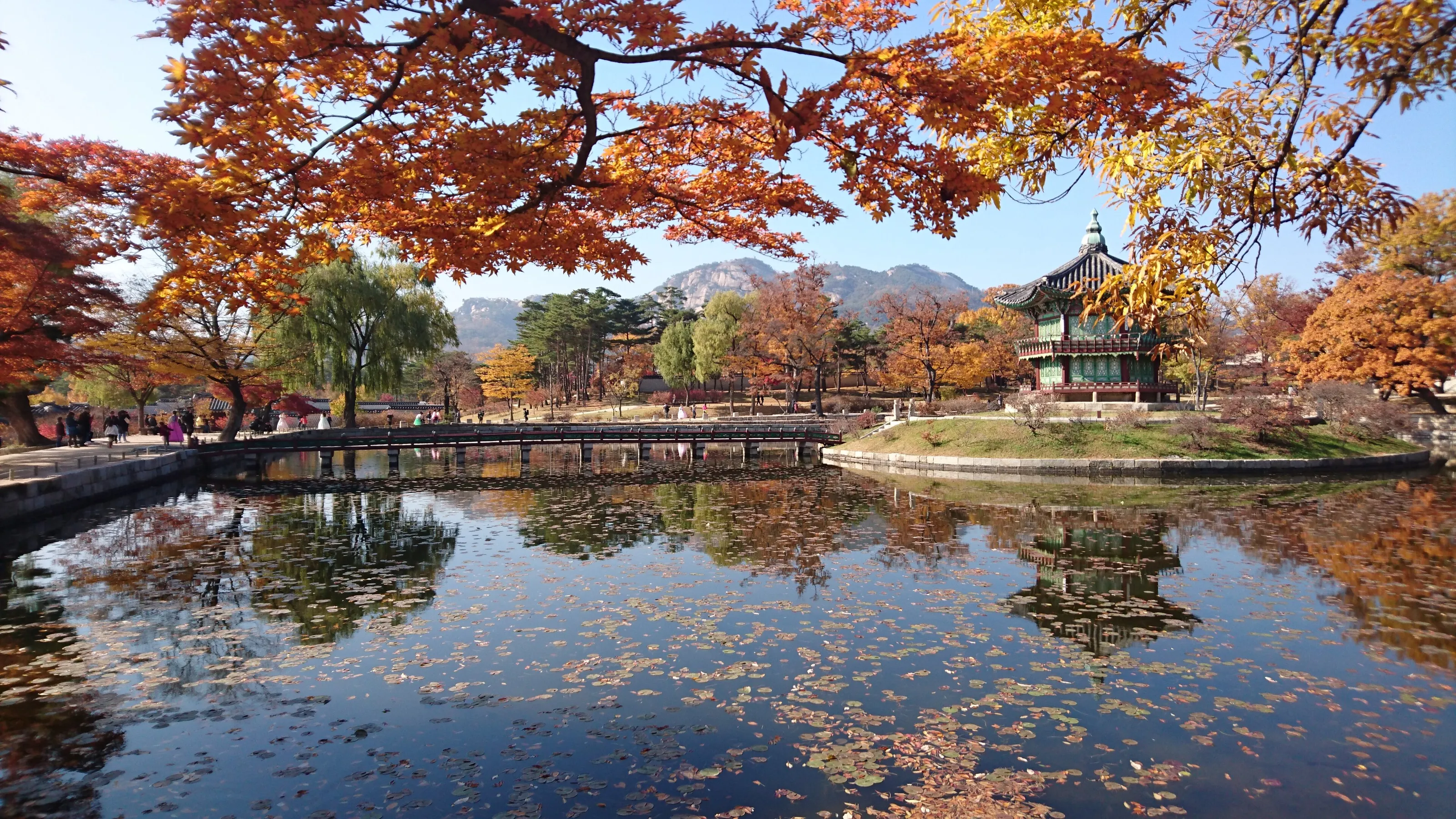 Seoul reflections