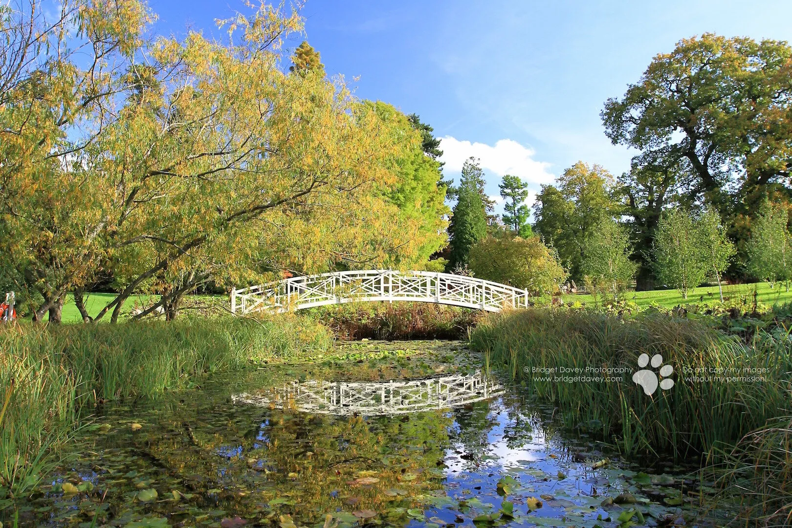 Autumn Reflection at Woburn Abbey Gardens