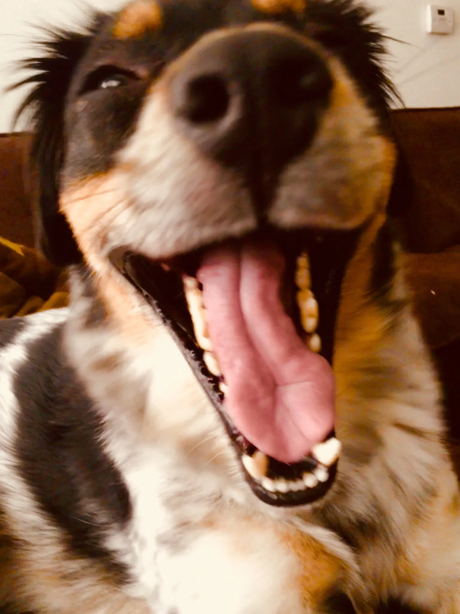Excitement.
