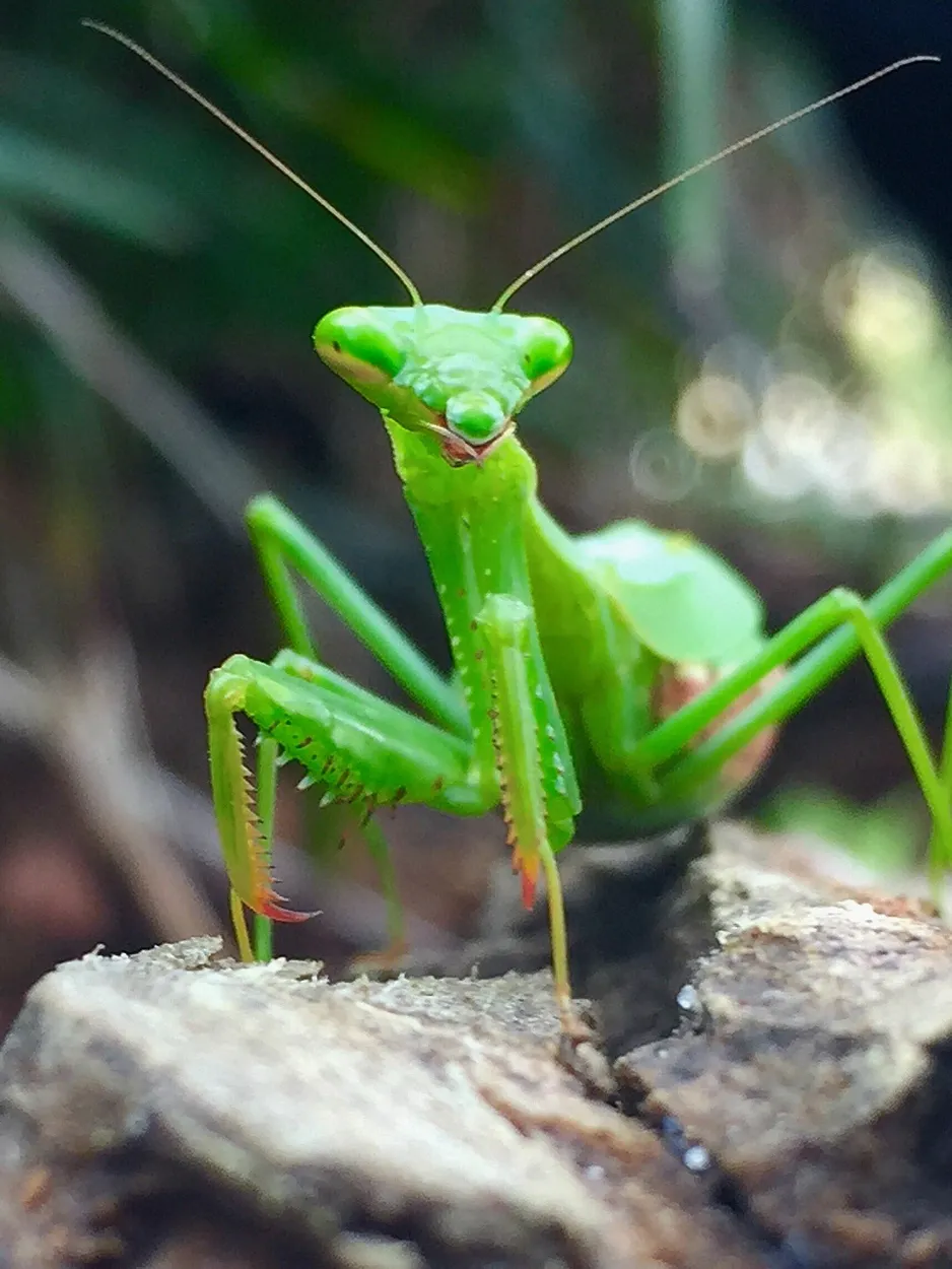 Entry 1280084