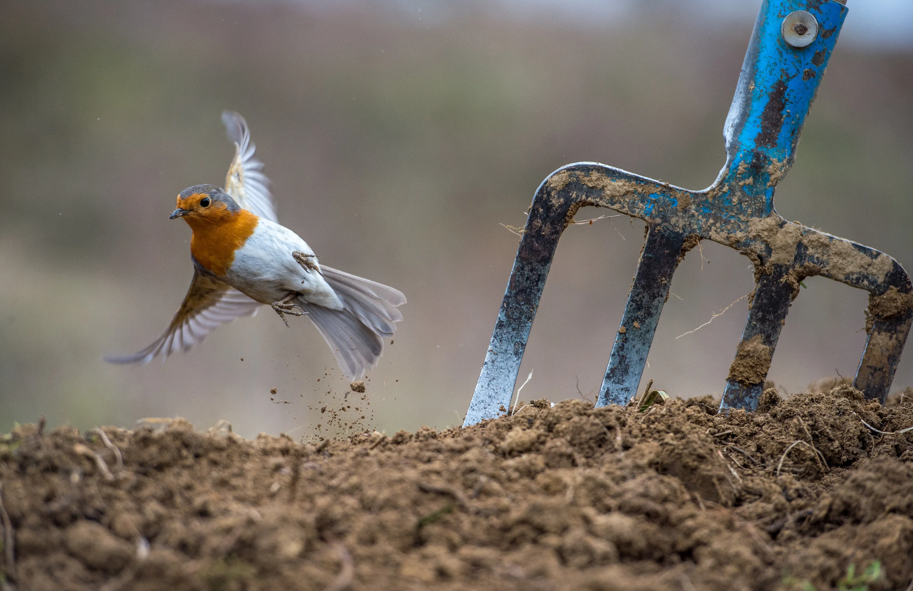 Time to fly