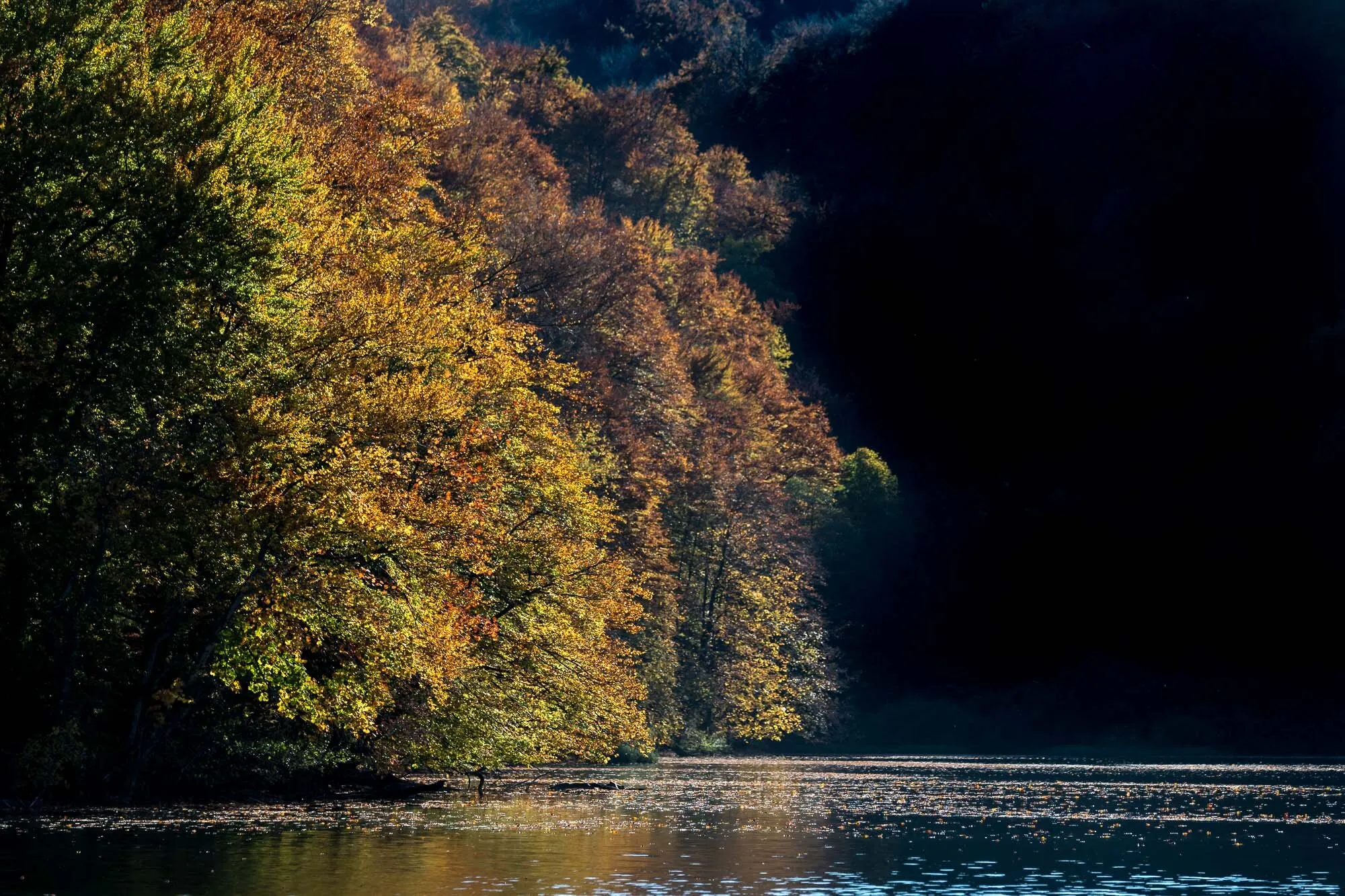 Plitivice Lakes, Croatia - Foliage