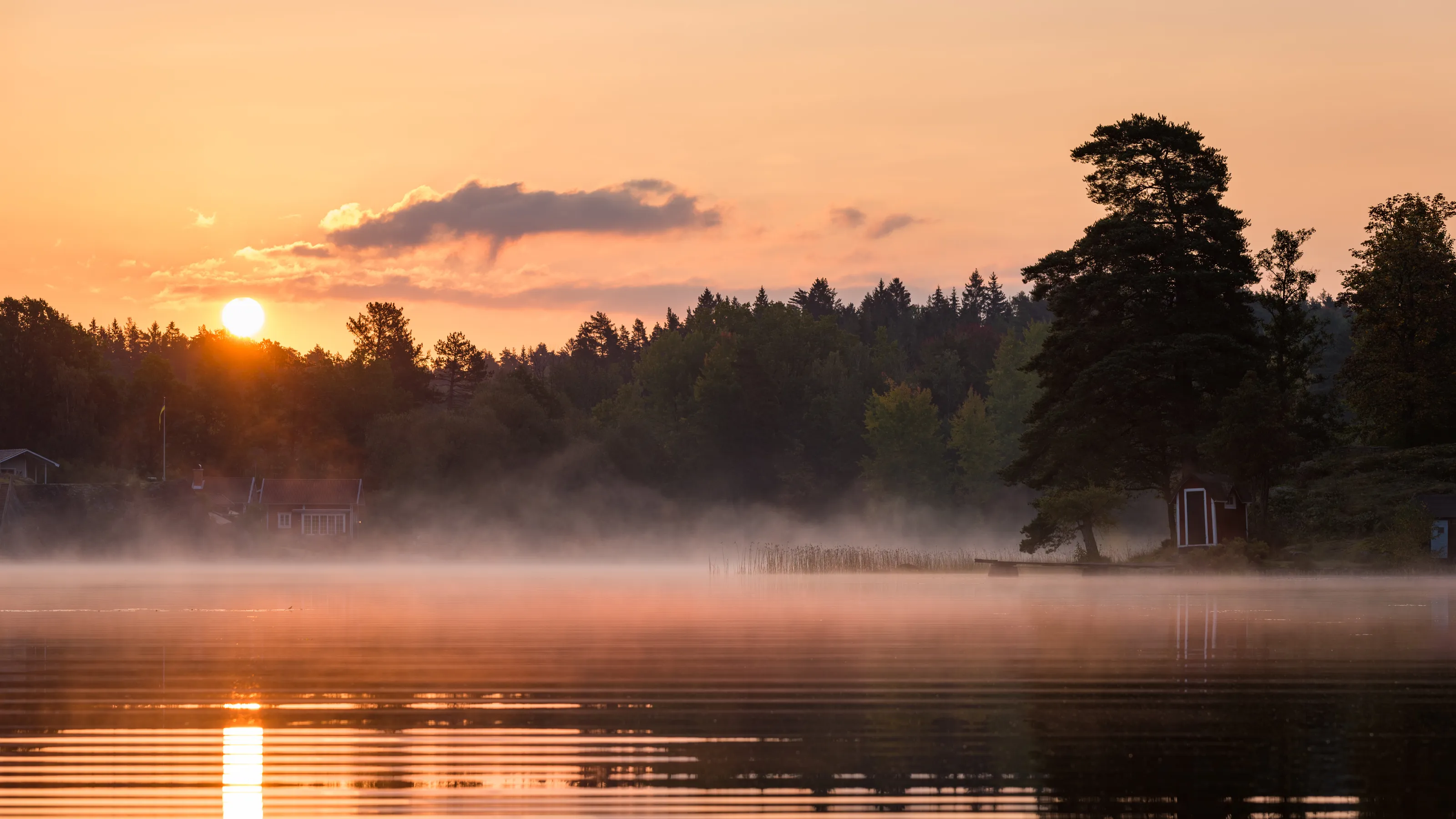 Autumn morning