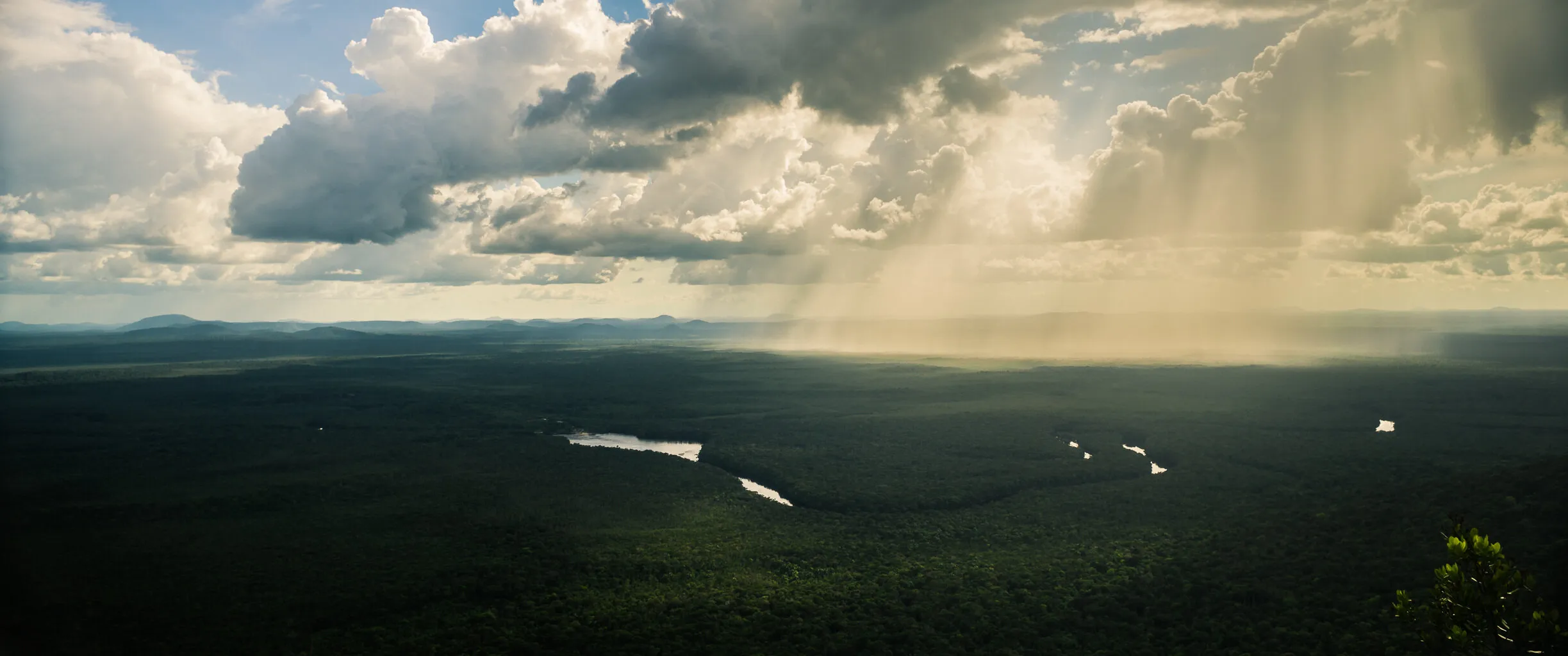 Amazonia