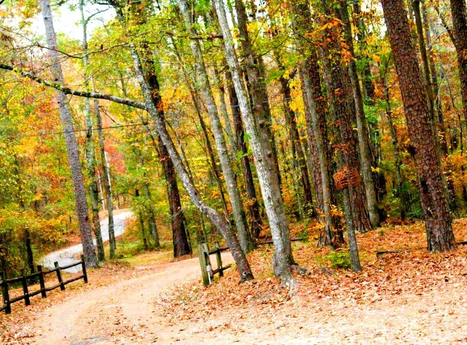 Fall