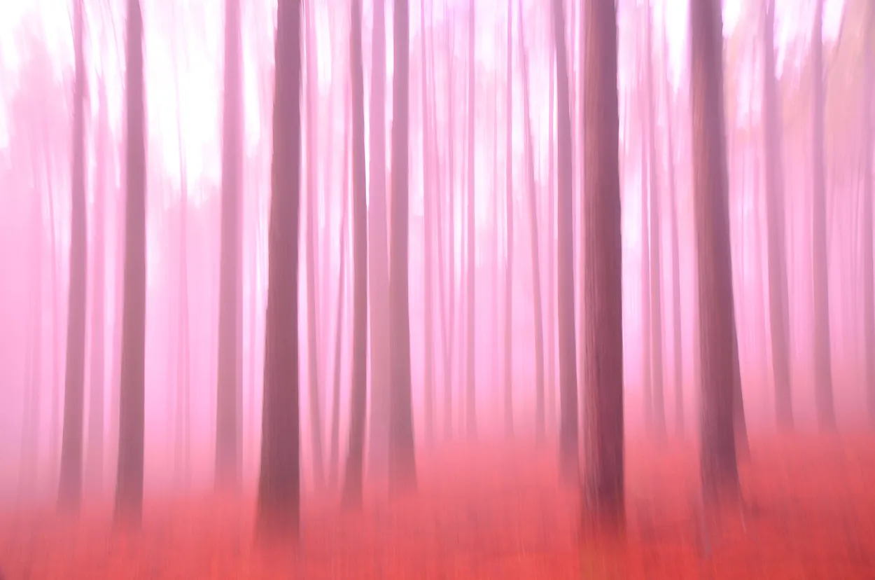 Entry 1438841