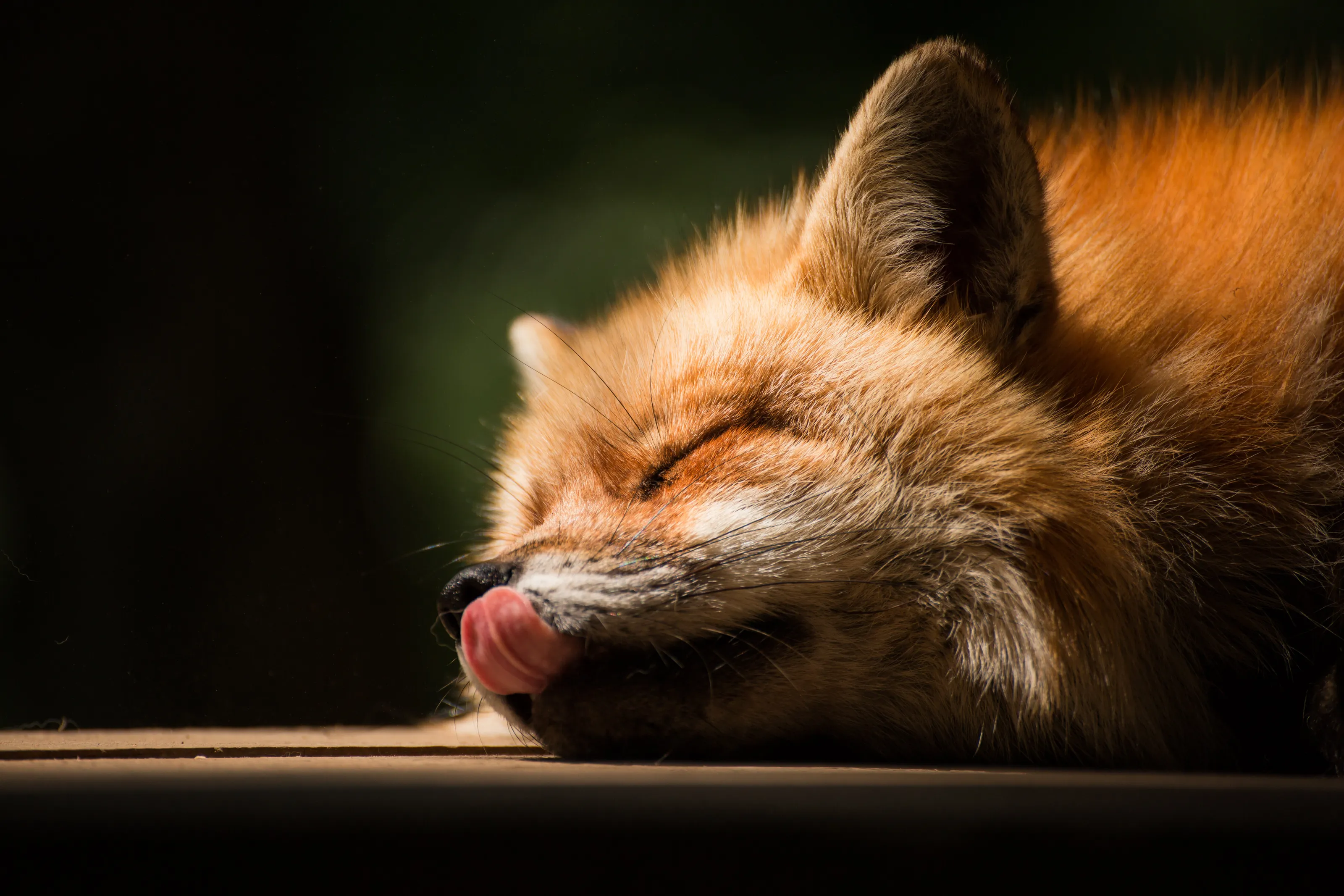 Sweet nap.