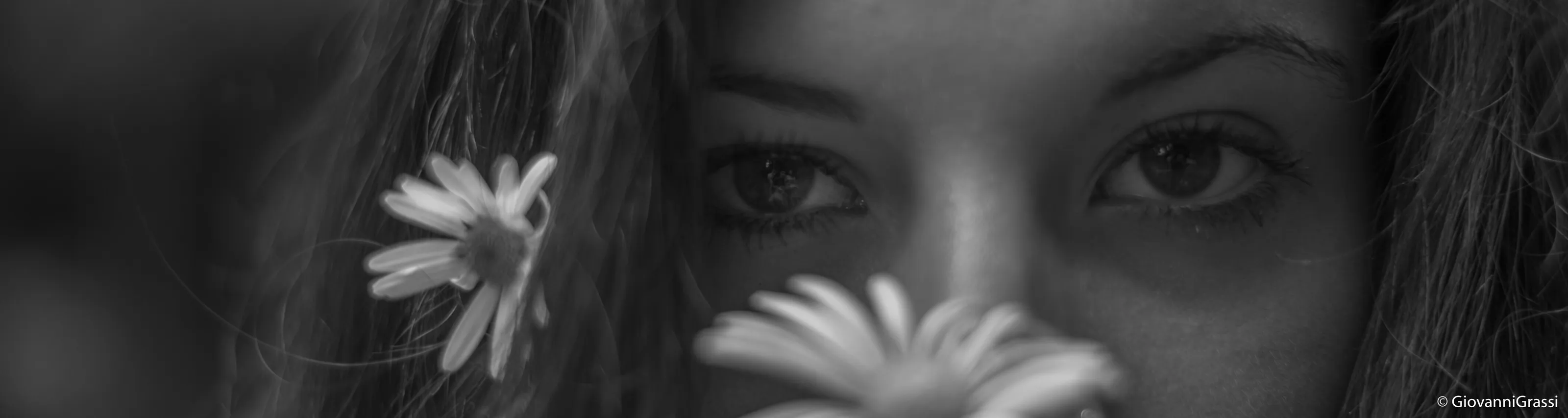 Daisy Eyes