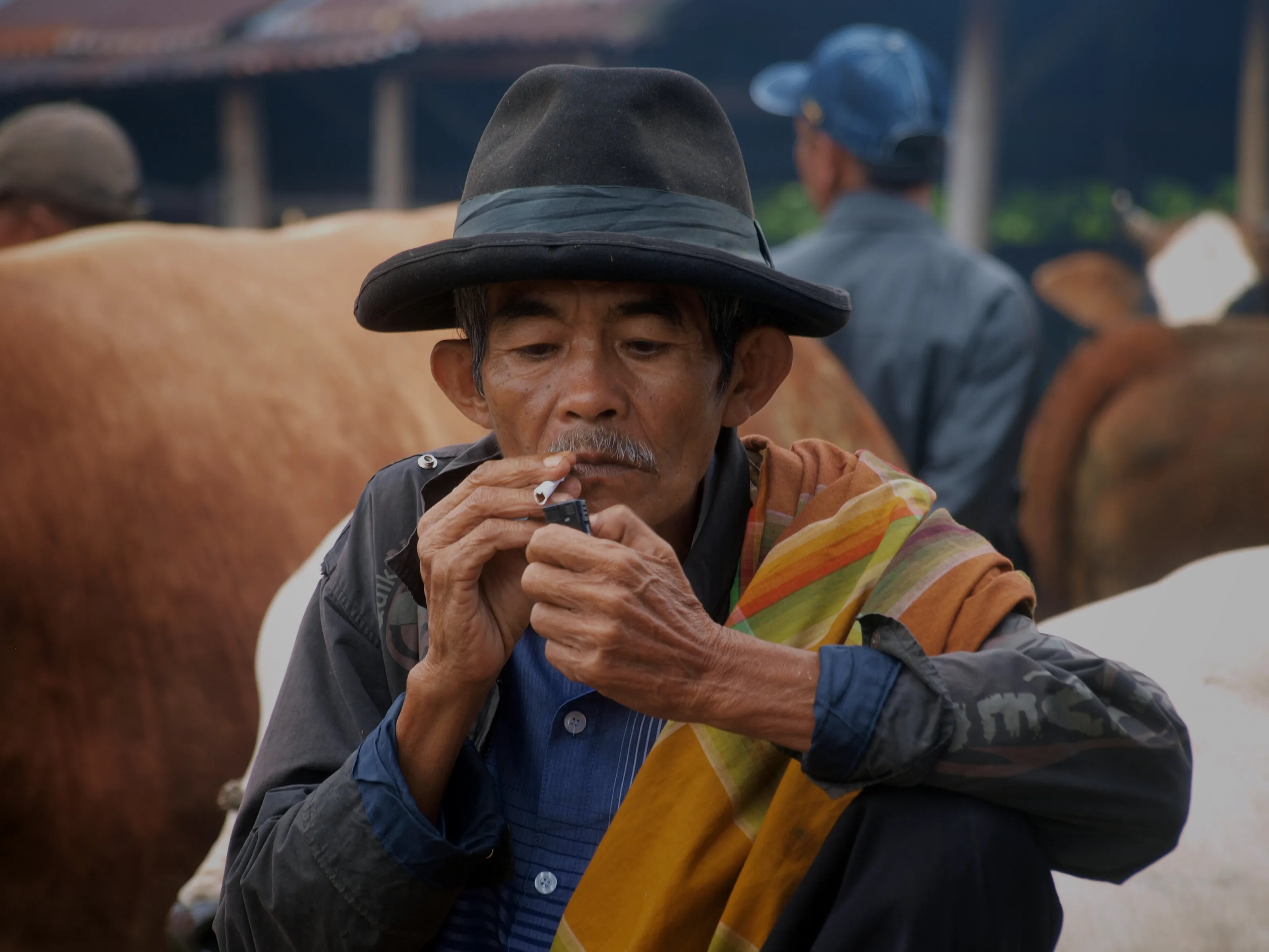 livestock realtor