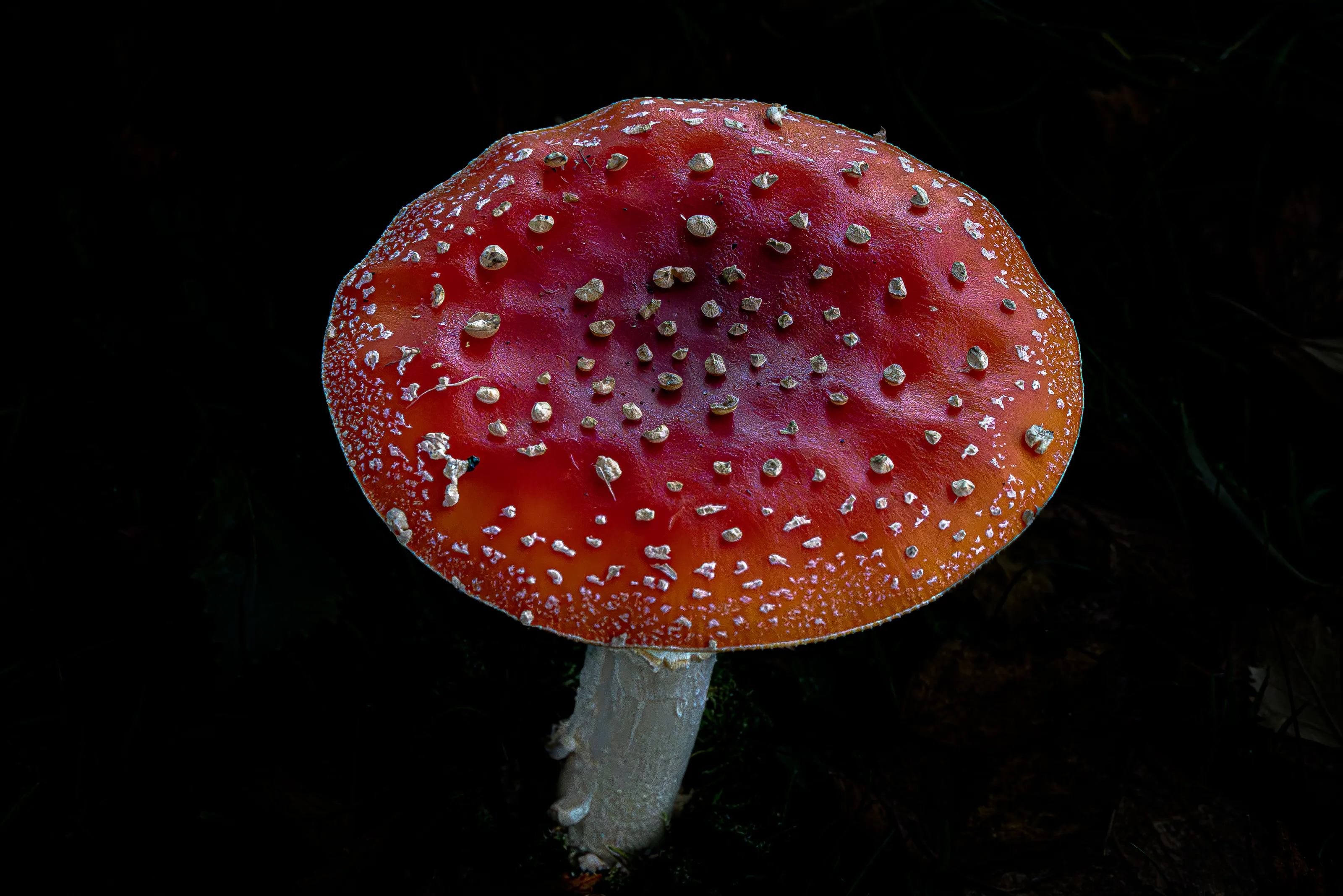 On a Black Background