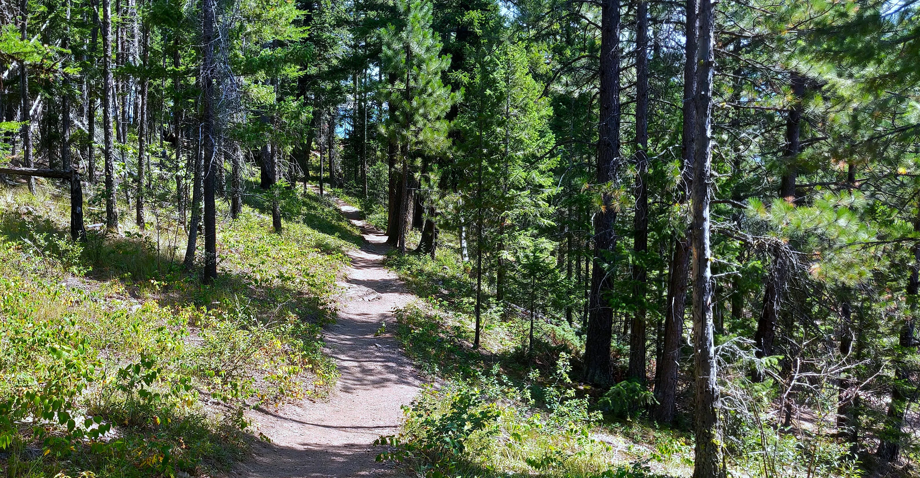 Summer Hikes in the Great Outdoors