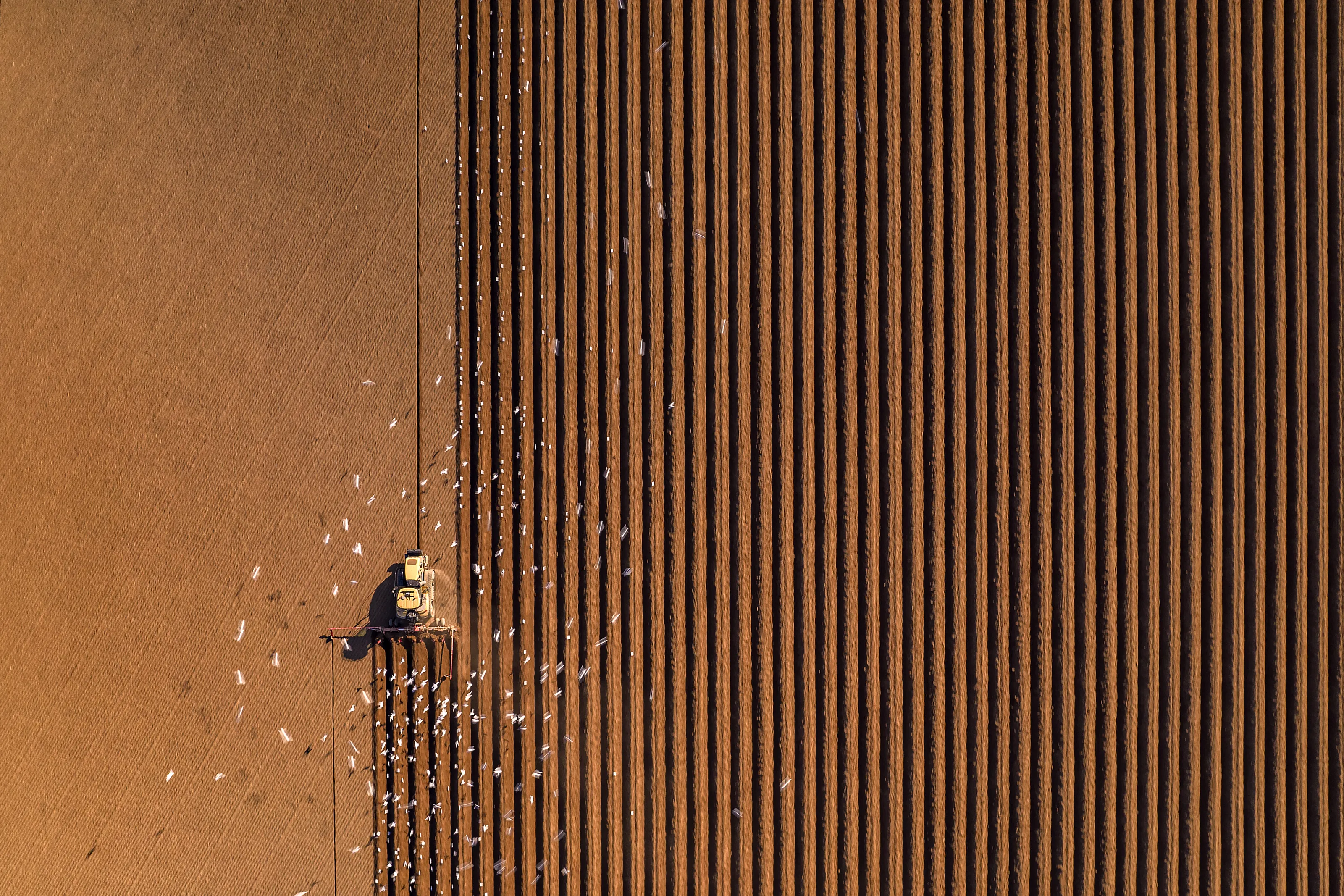 Aerial Abstracts