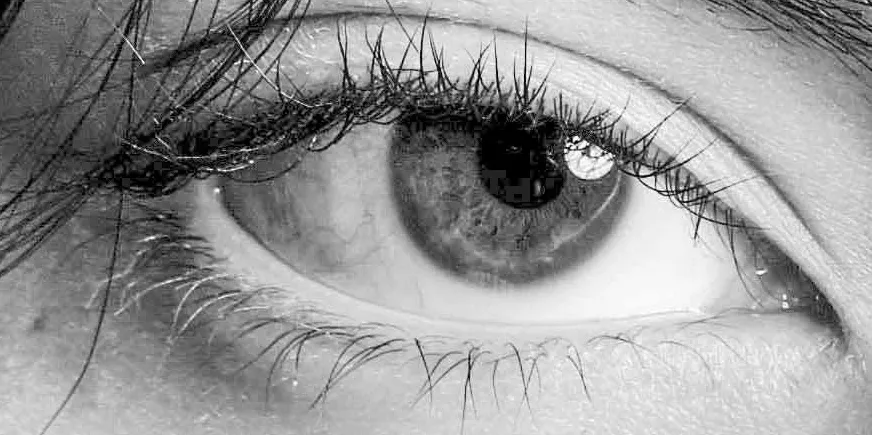 Close Up of a Single Eye