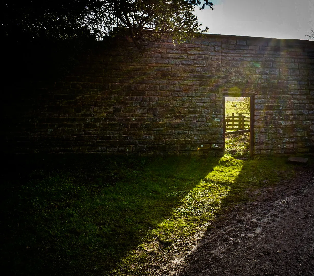 Light and Shadow (in colour)