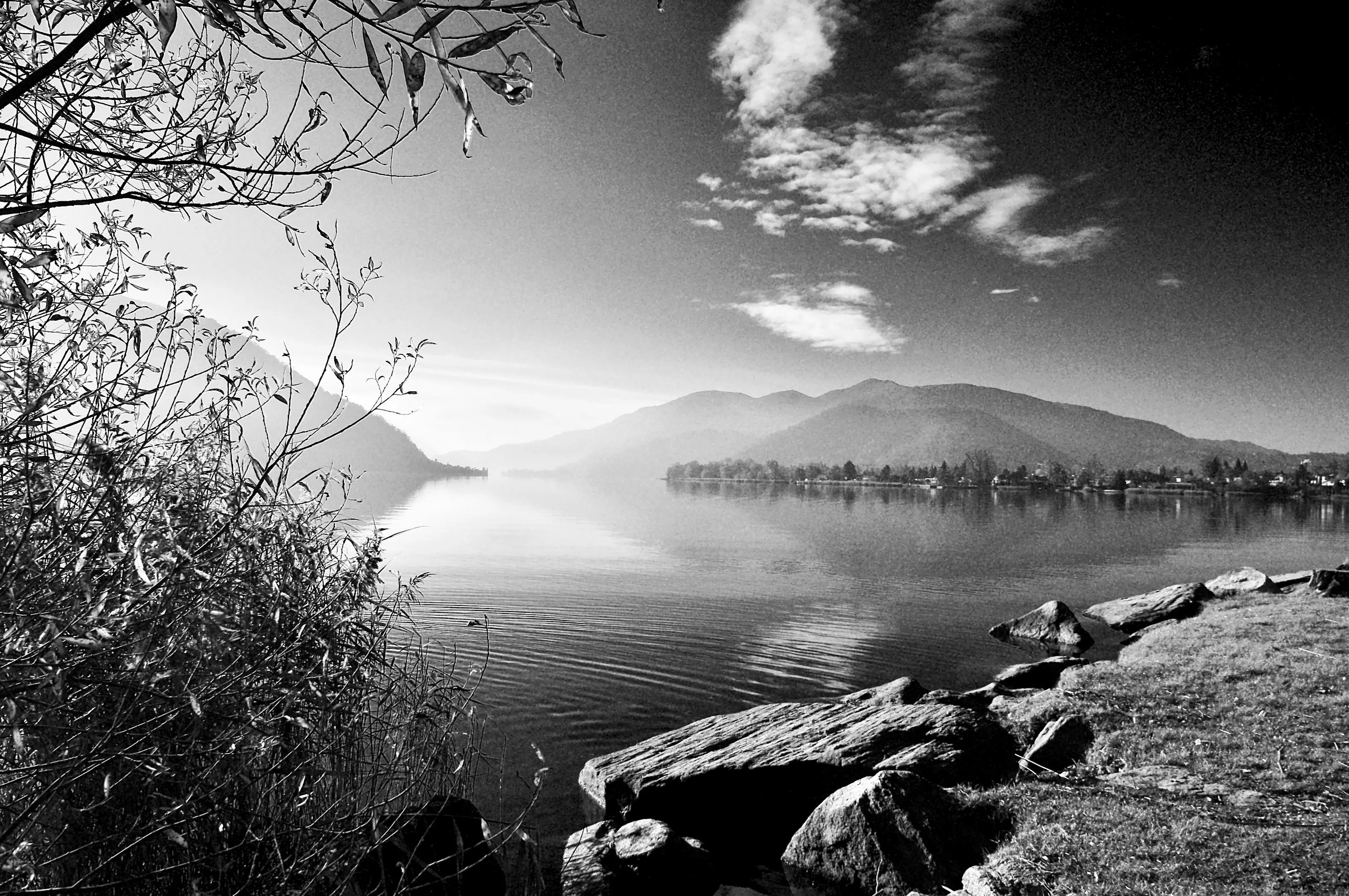 Landscapes in Black and White