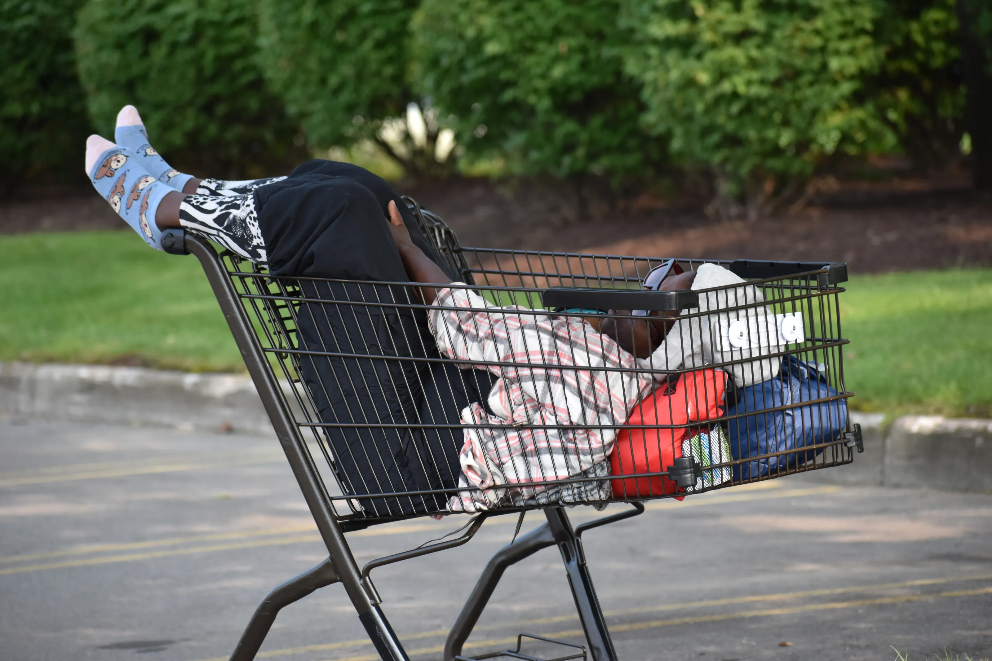 Shopping Trolleys