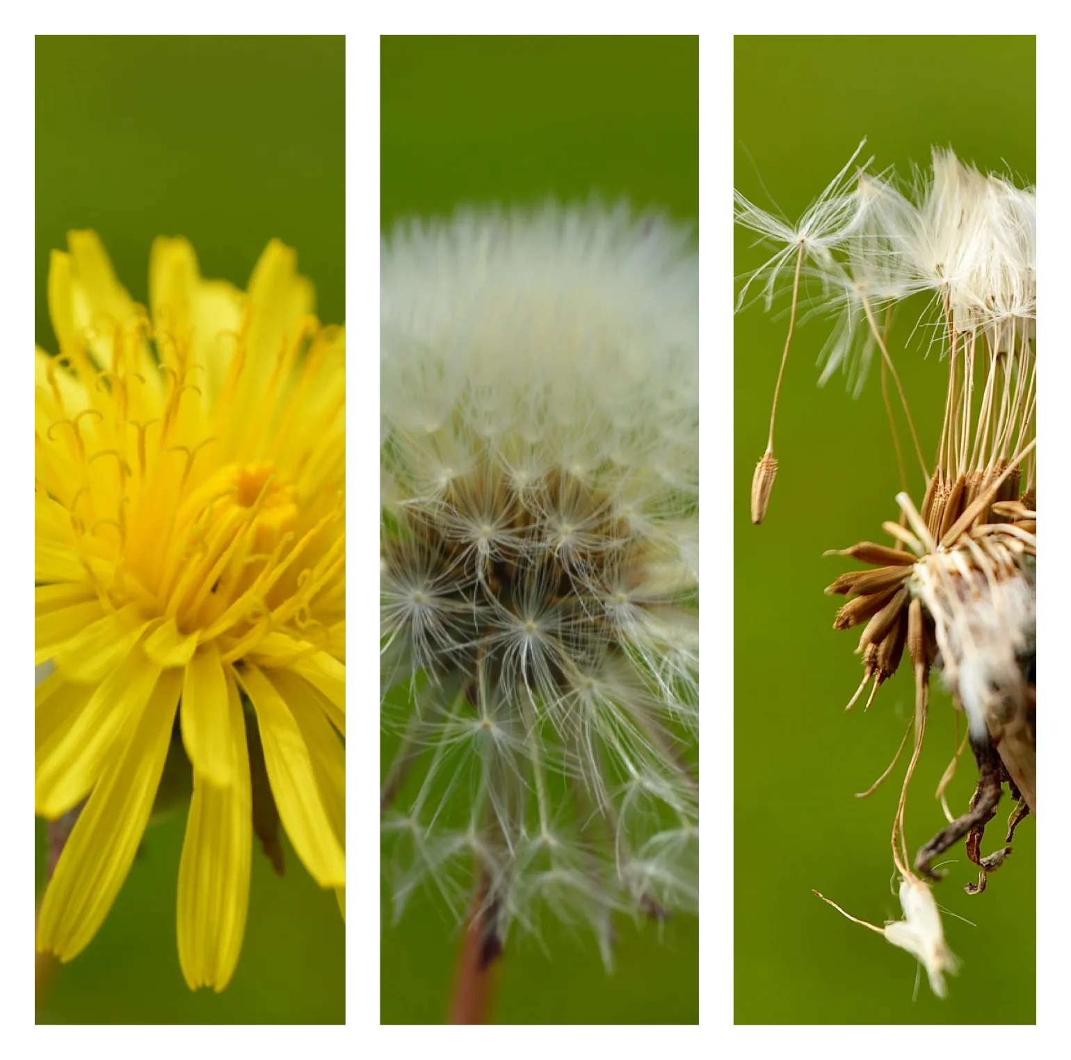Triptychs Showing a Sequence of Events