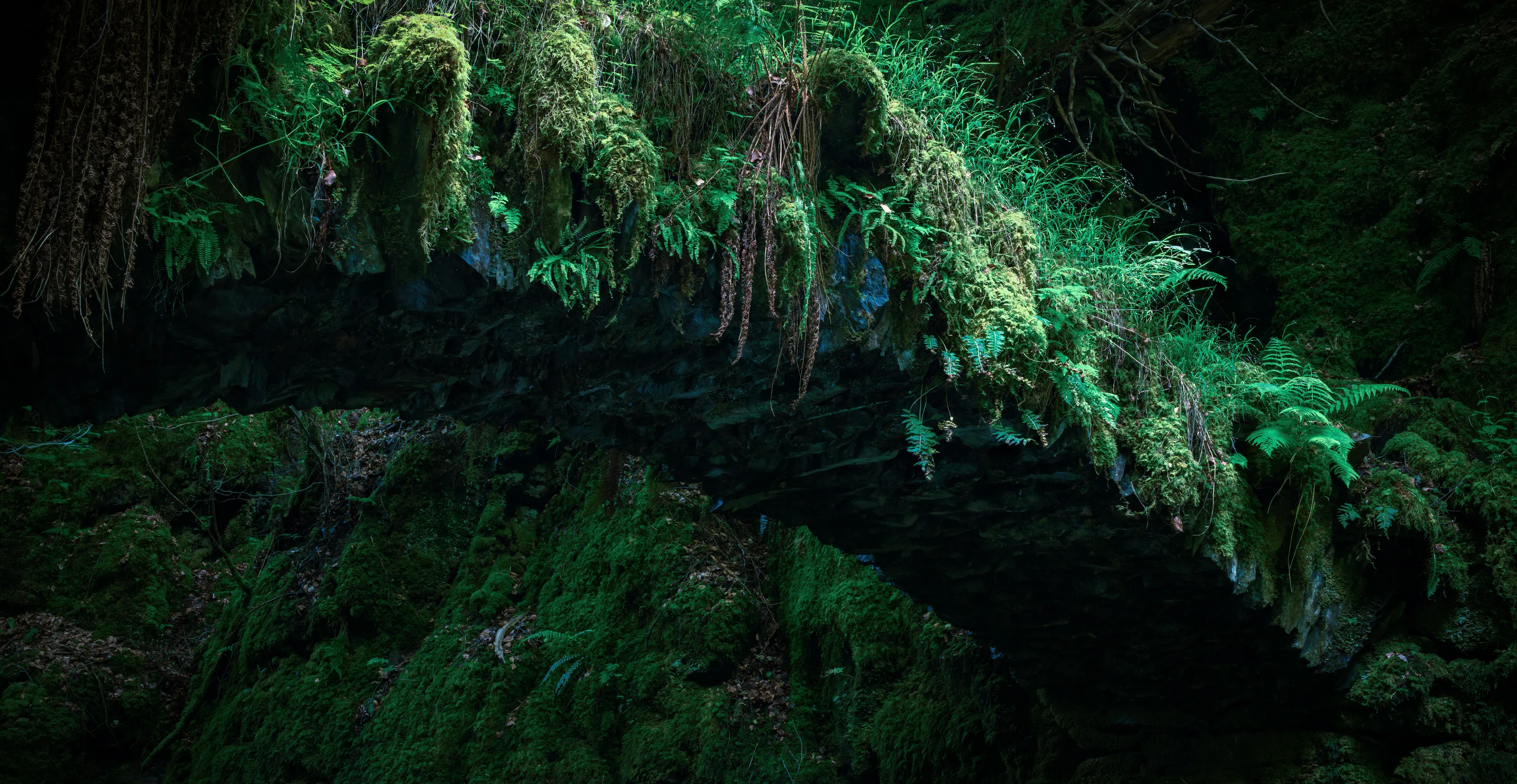 Manmade Objects Hidden in the Forest