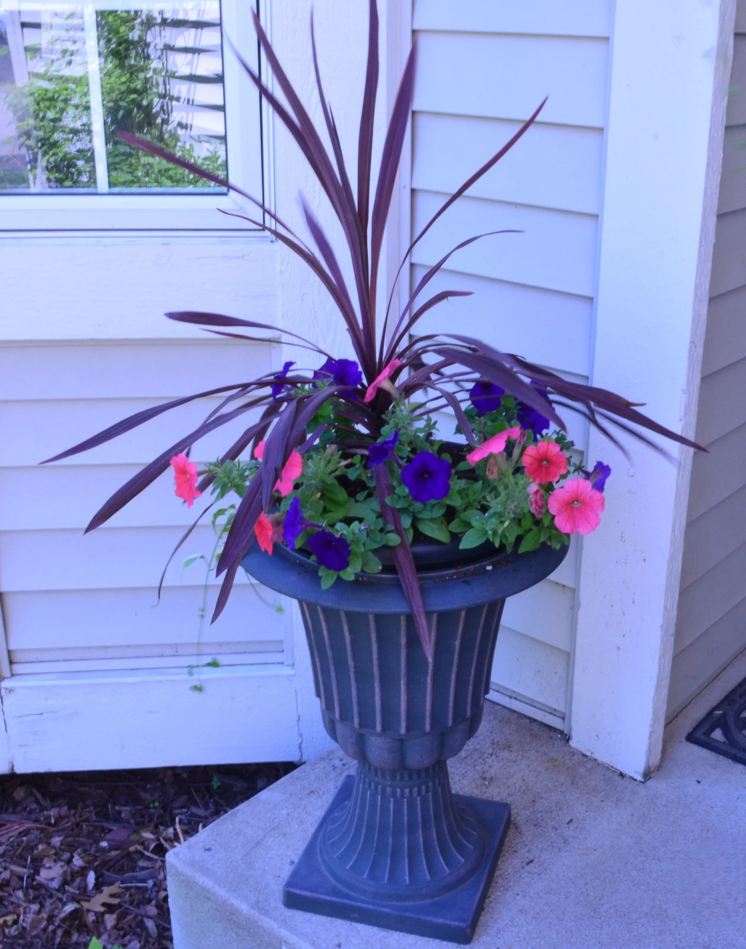 Outdoor Container Gardens