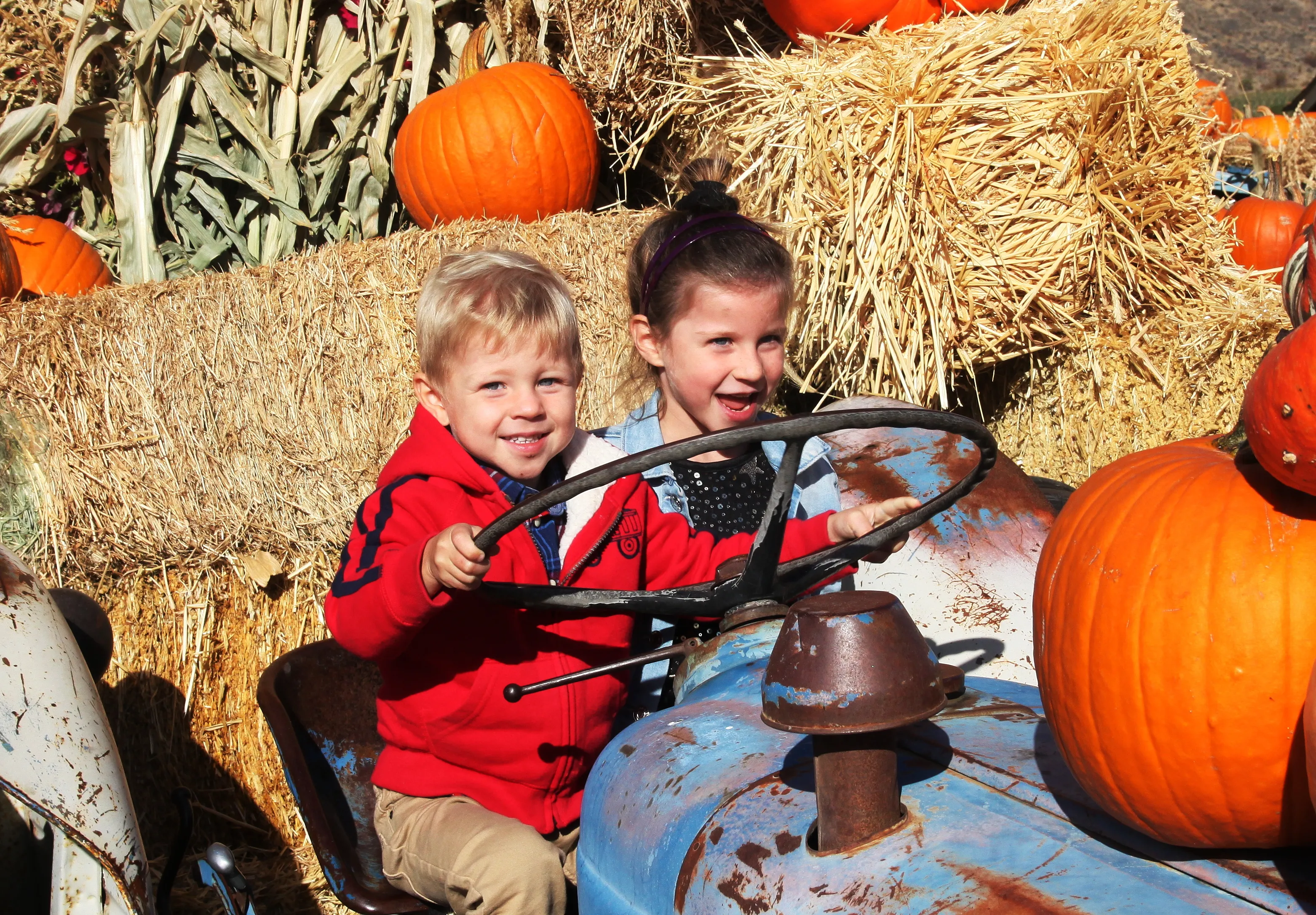 Young Children Playing