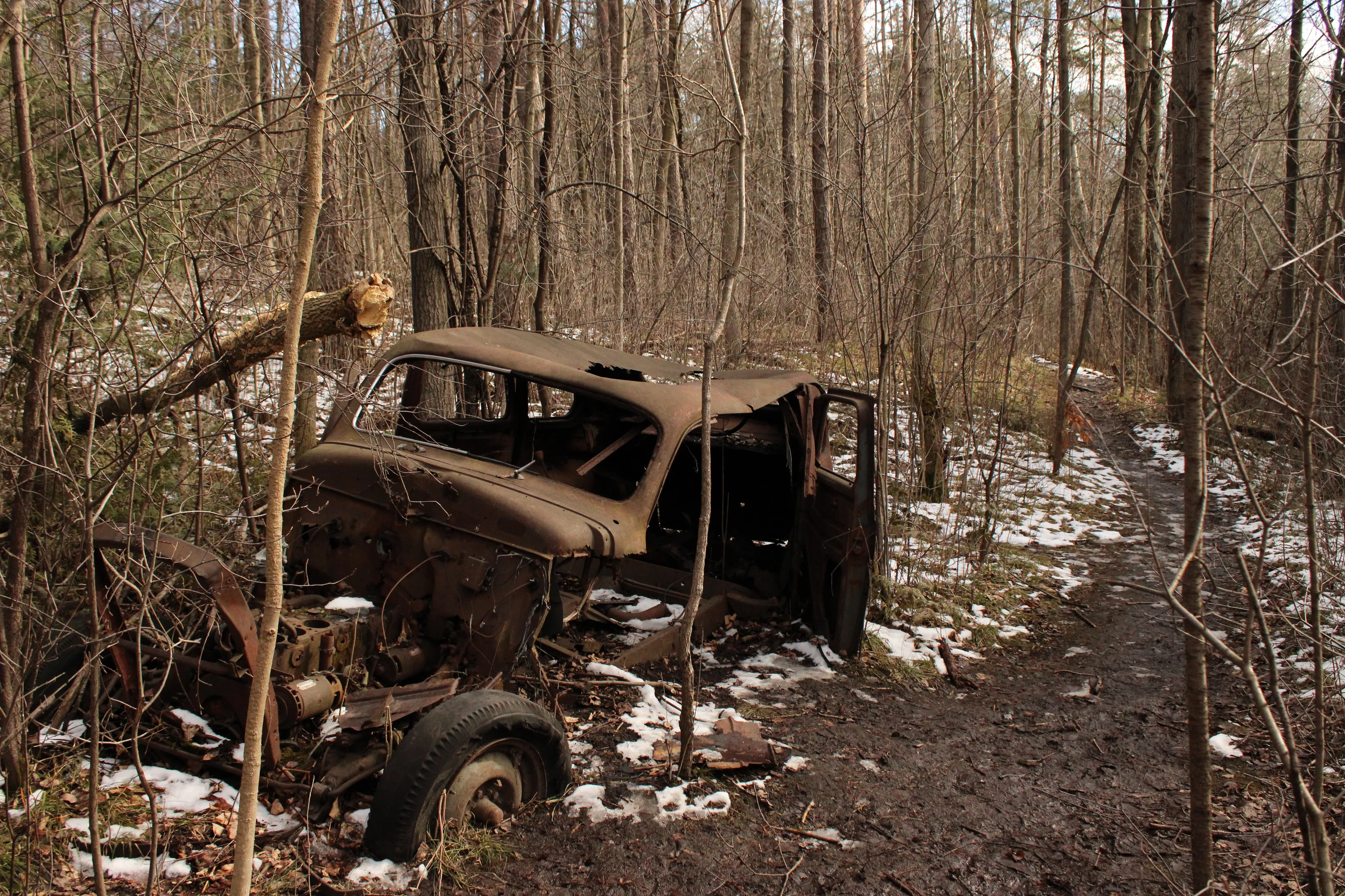 Ruined and Wrecked By Time