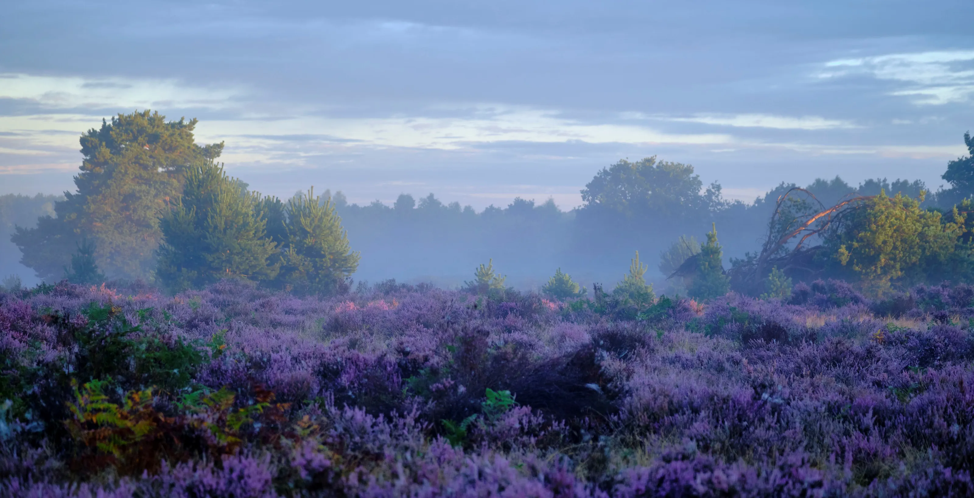 Moody Landscapes (in colour)