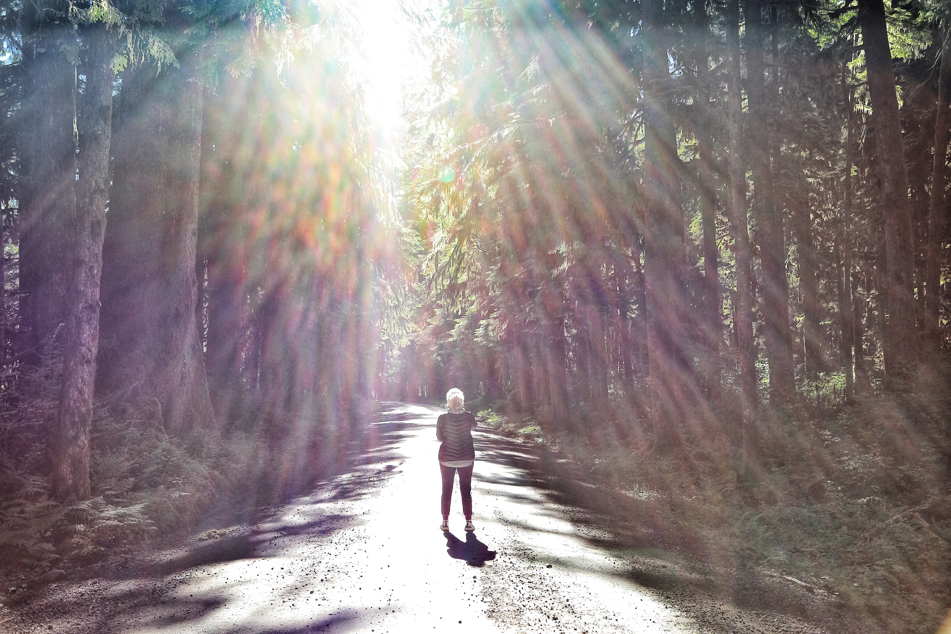 Sun-Drenched