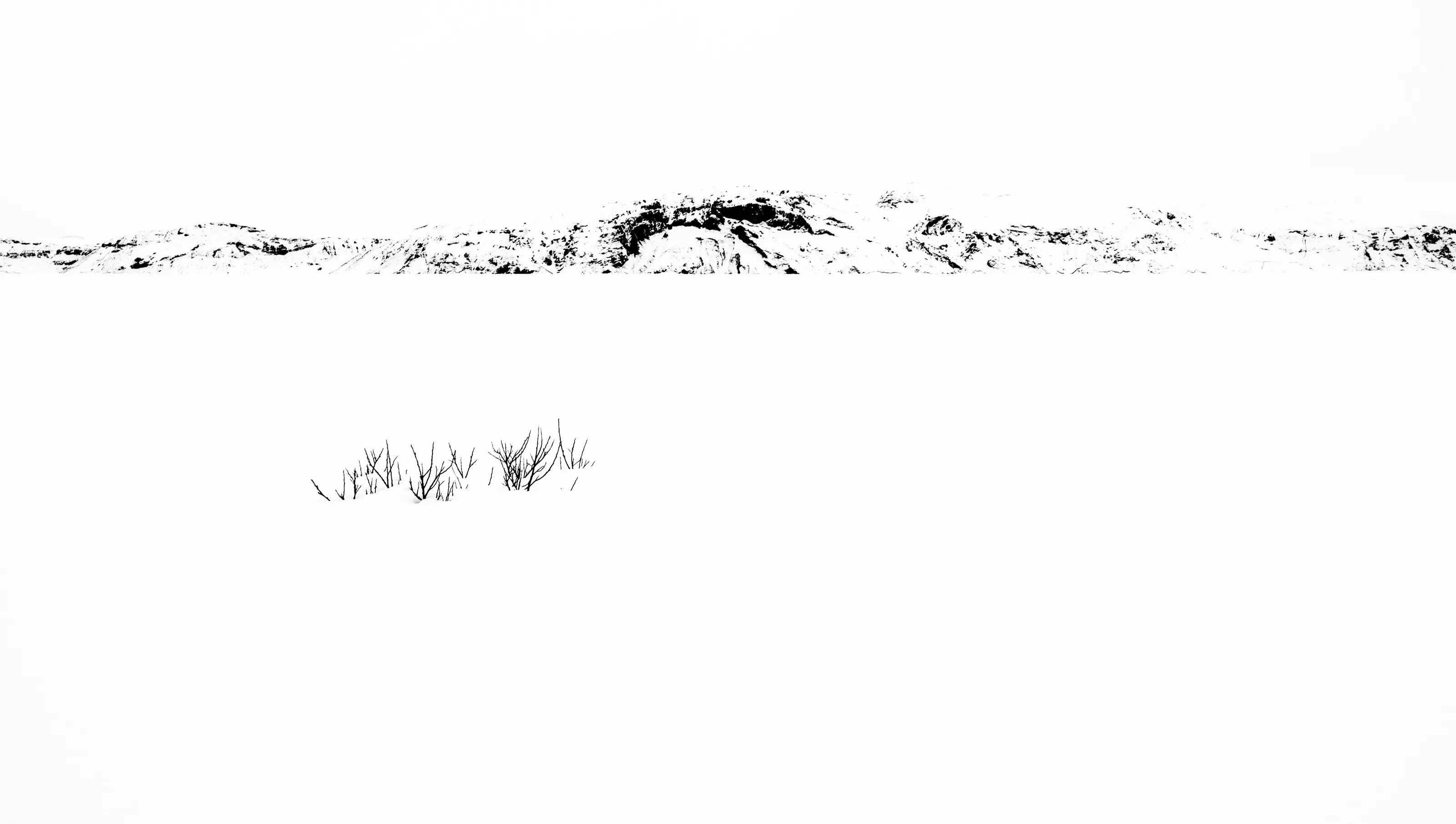 Negative Space in Monochrome