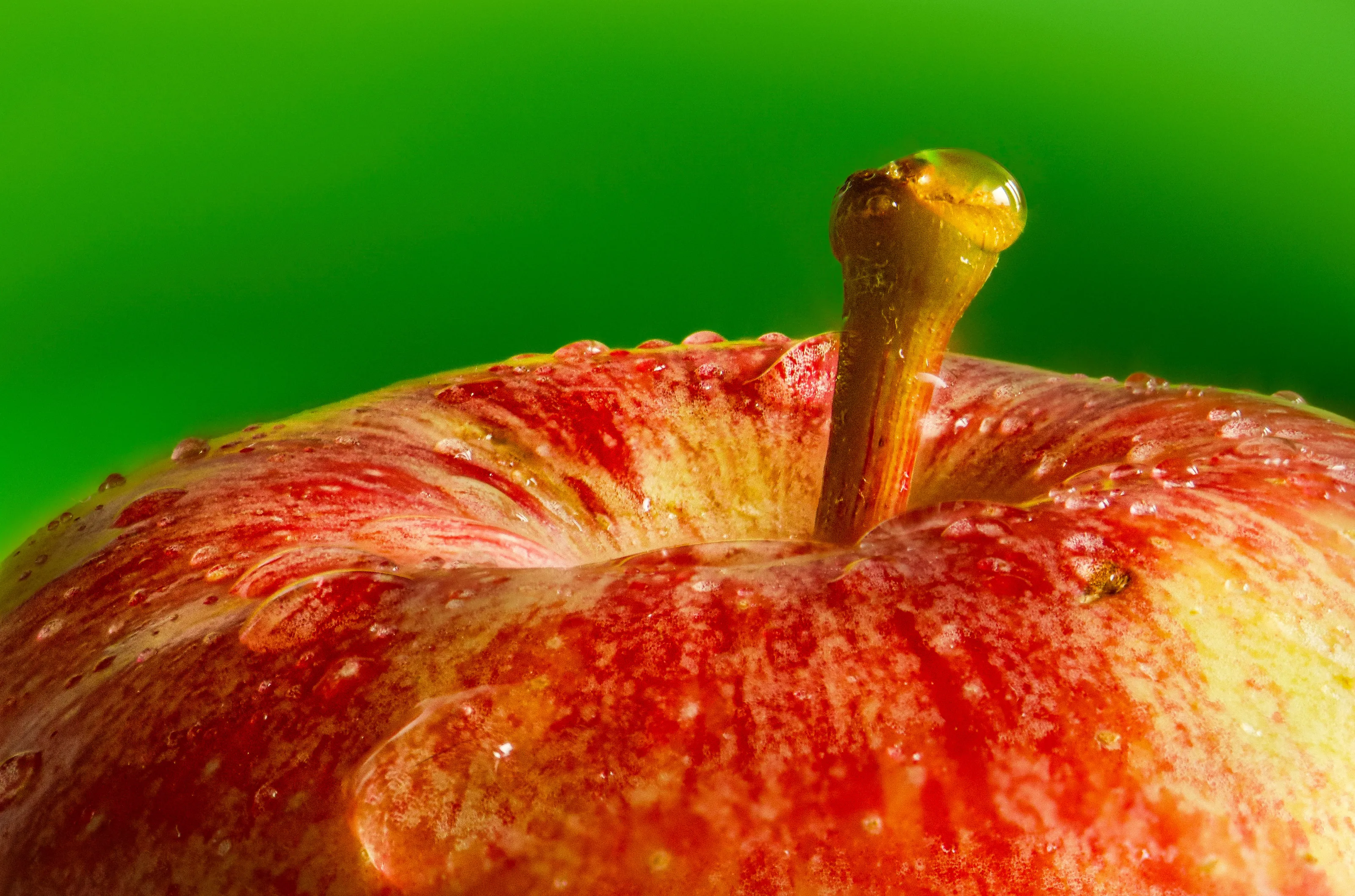 Macro Fruit and Vegetables