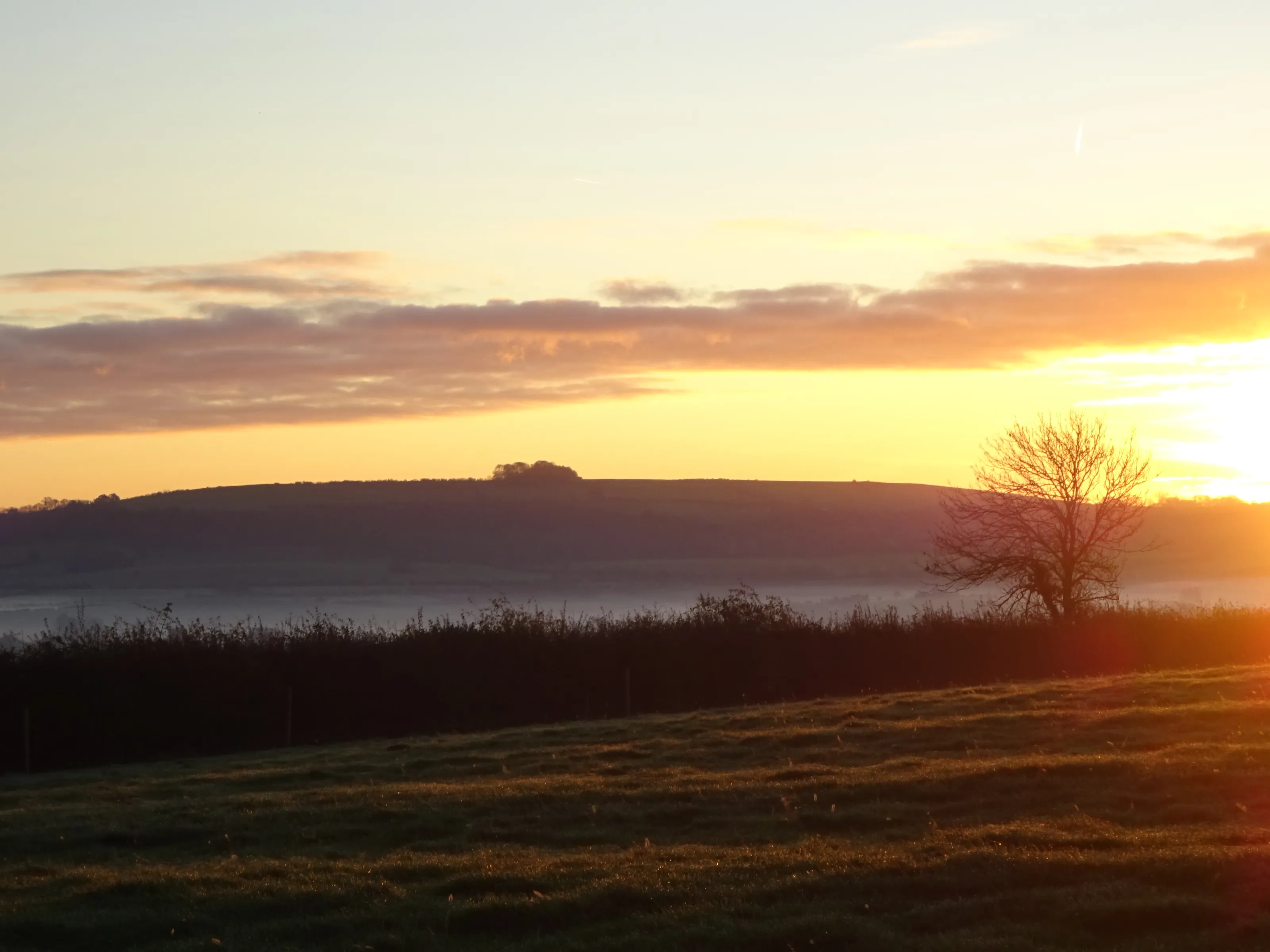 Early Mornings (in colour)