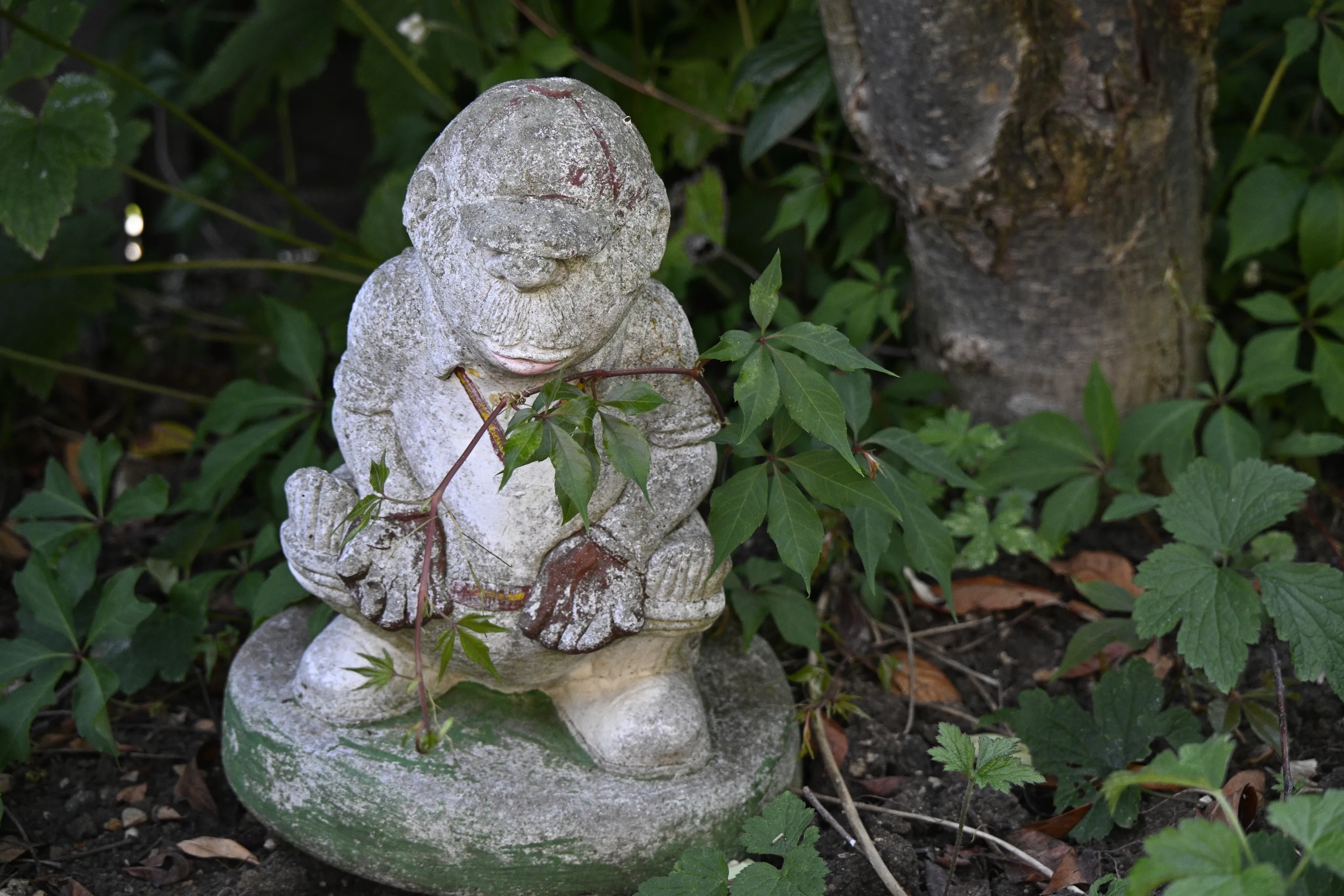 Garden Gnomes and Ornaments in the Garden
