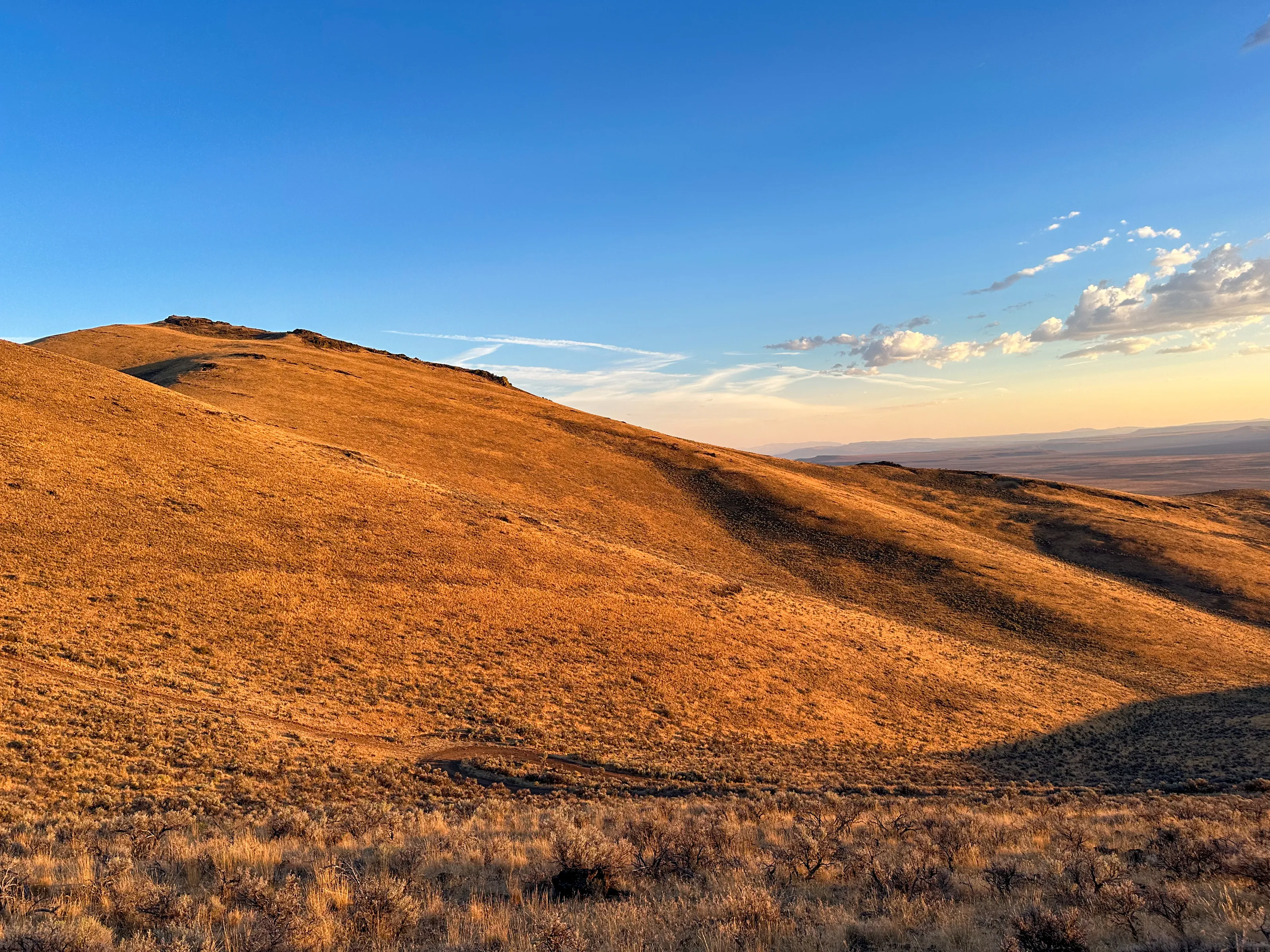 Rolling Hills