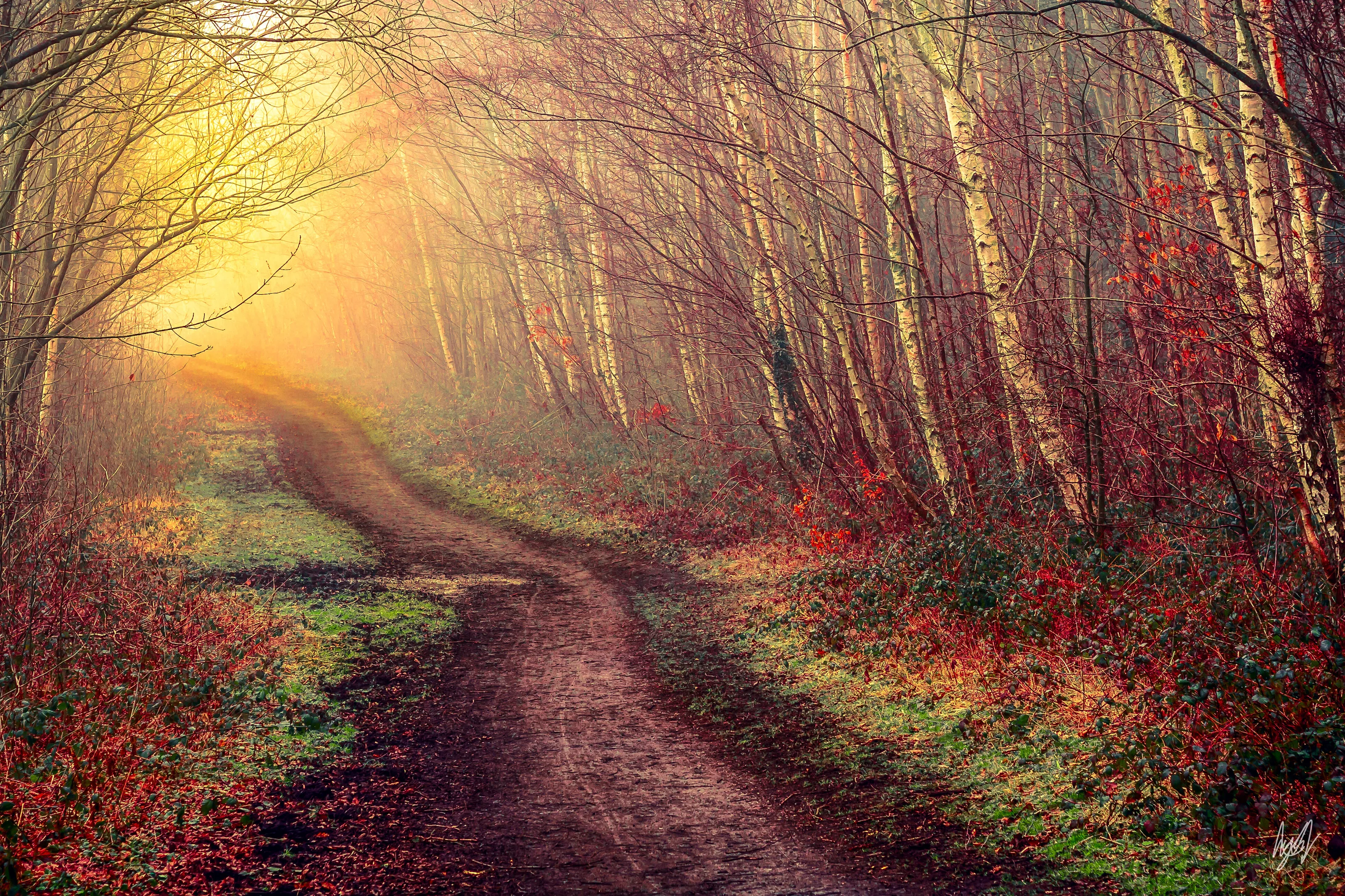 Magical Hues