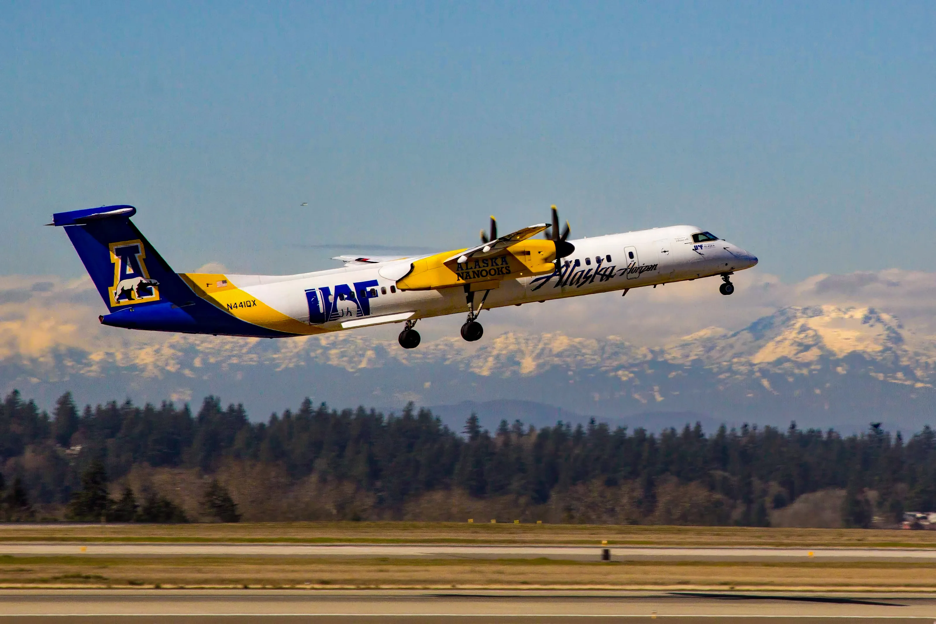 Commercial and Private Airplanes