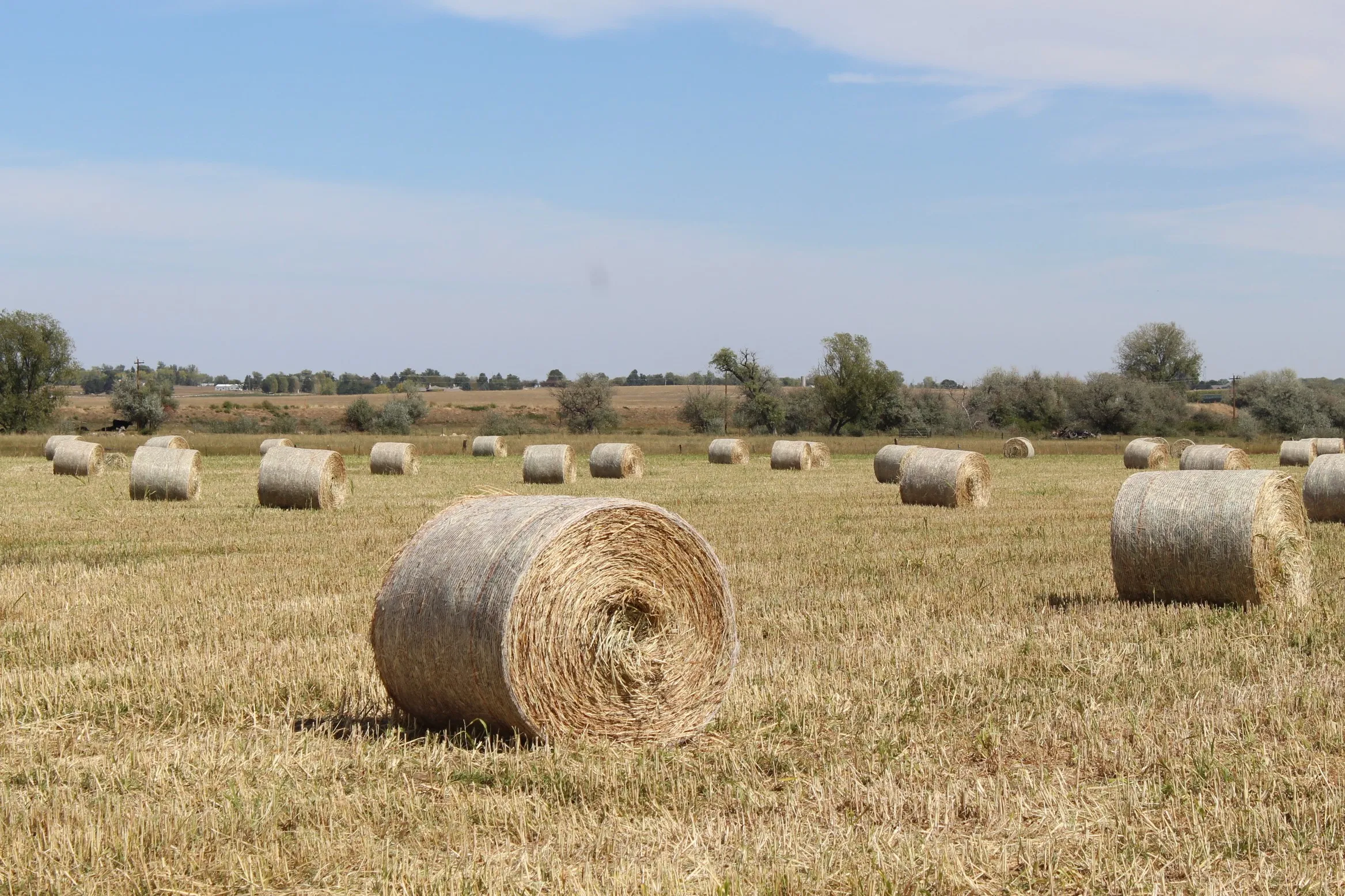More Than One Hay Bale