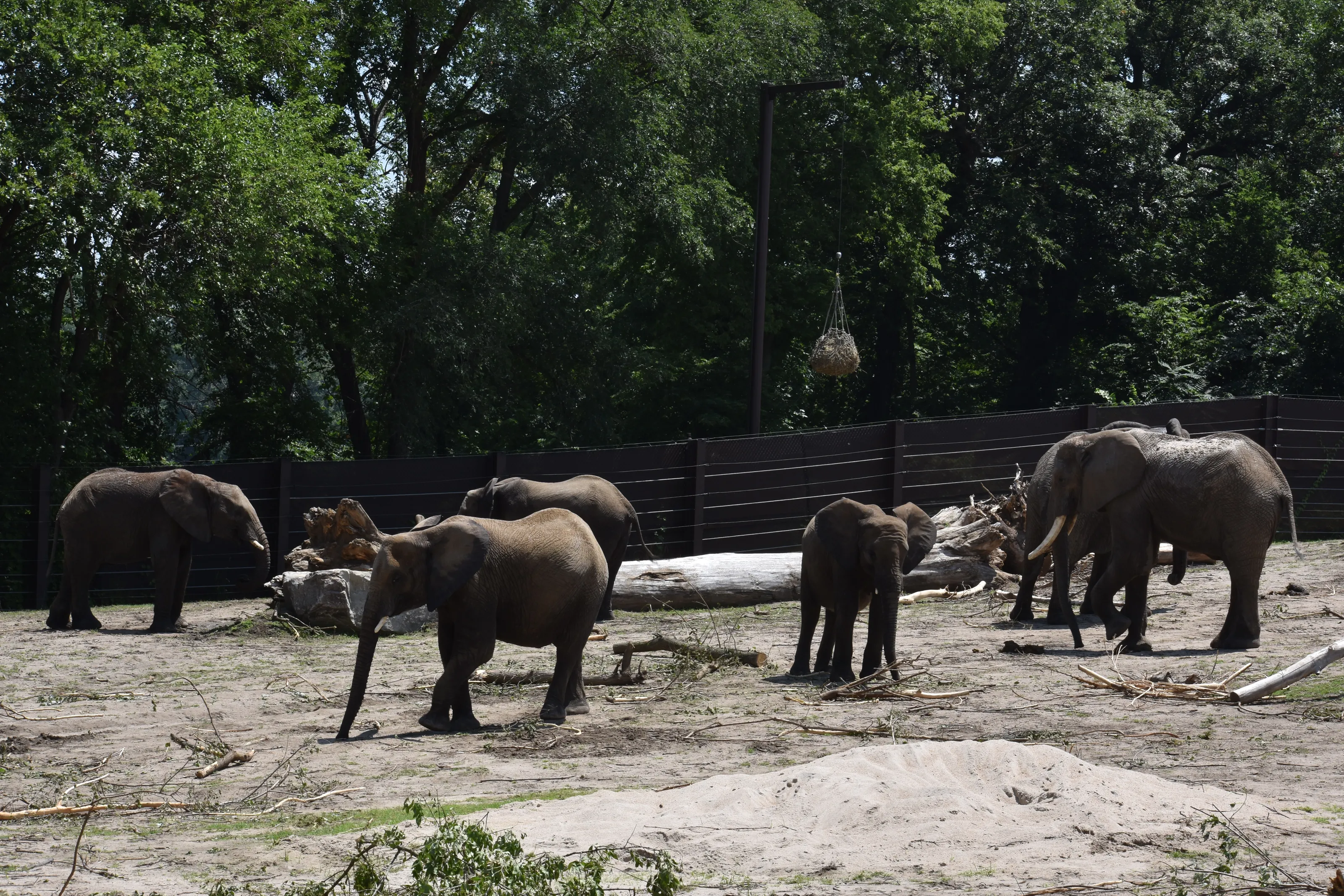 Zoos