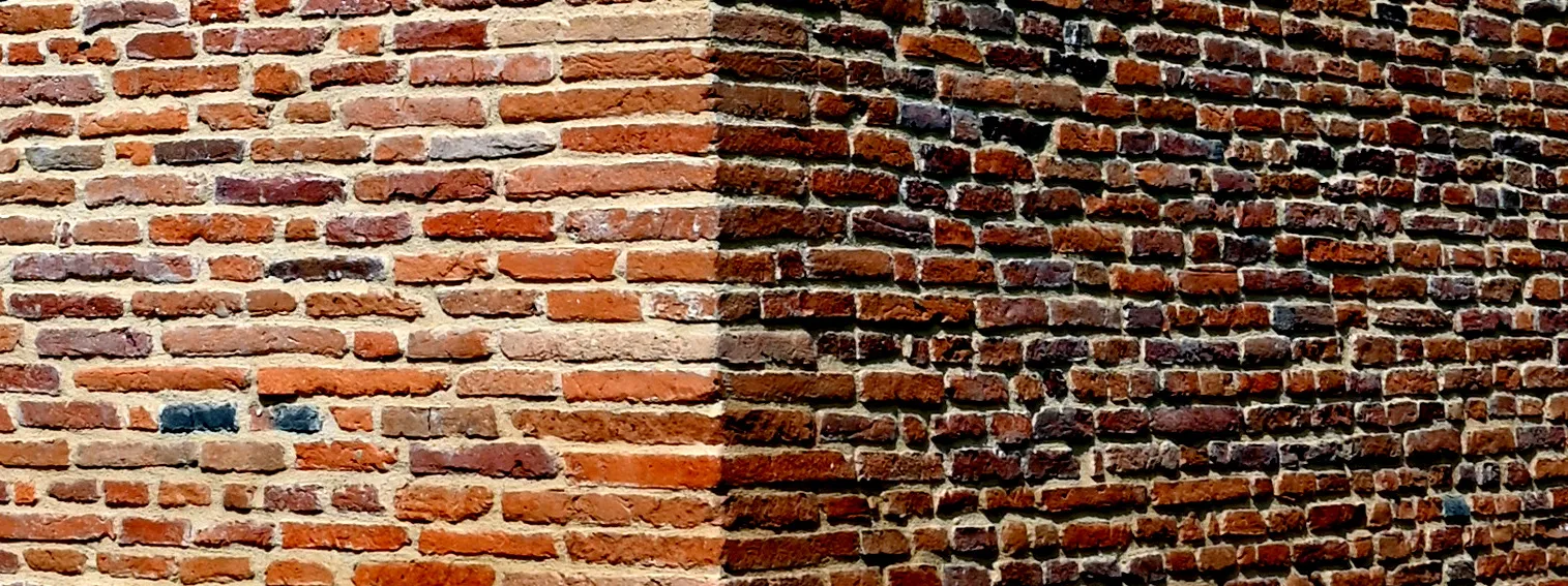 Bare Walls