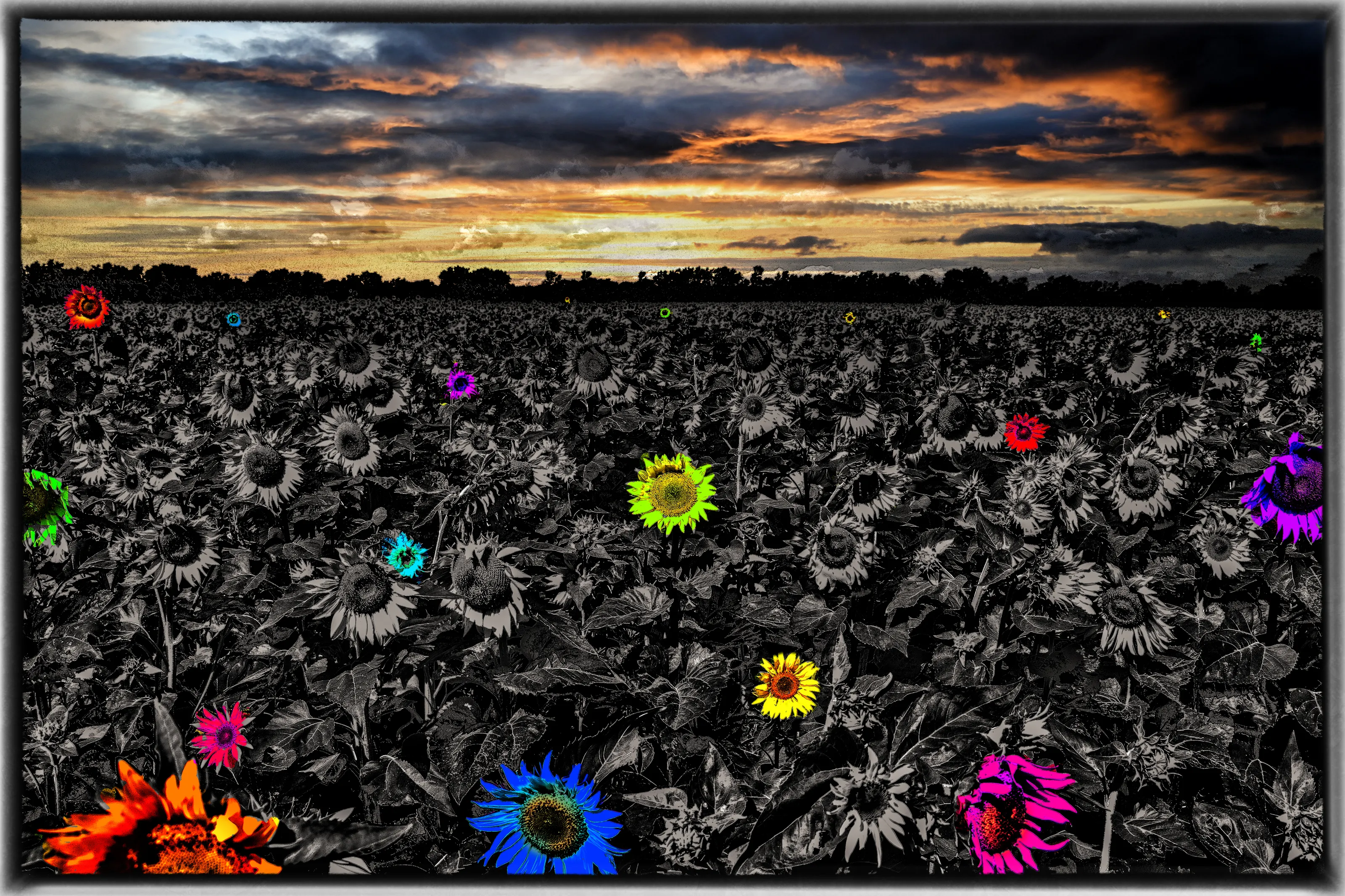 Black and White with a Splash of Colour