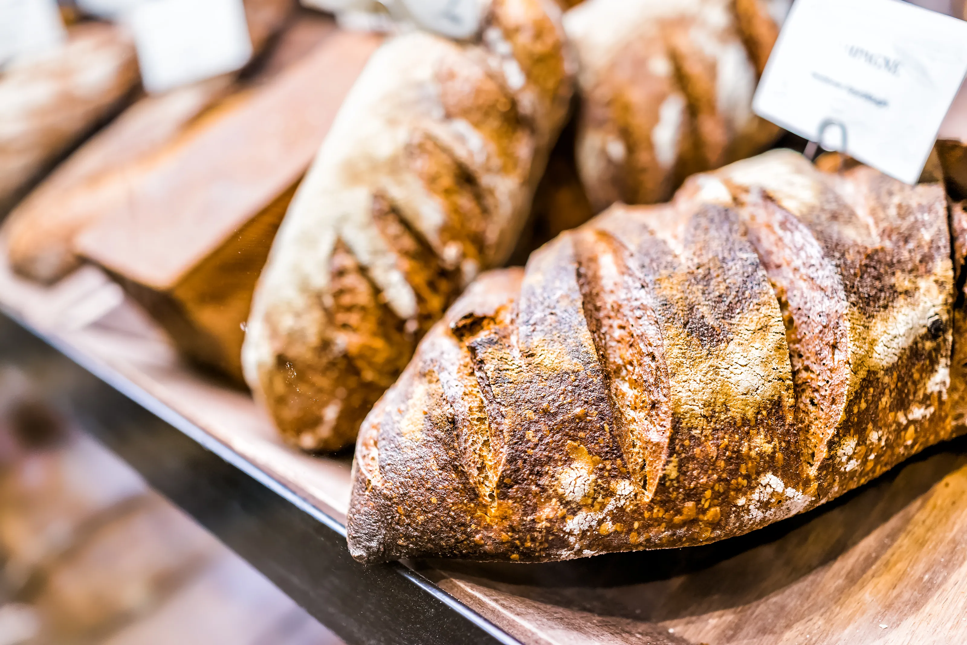 Bread