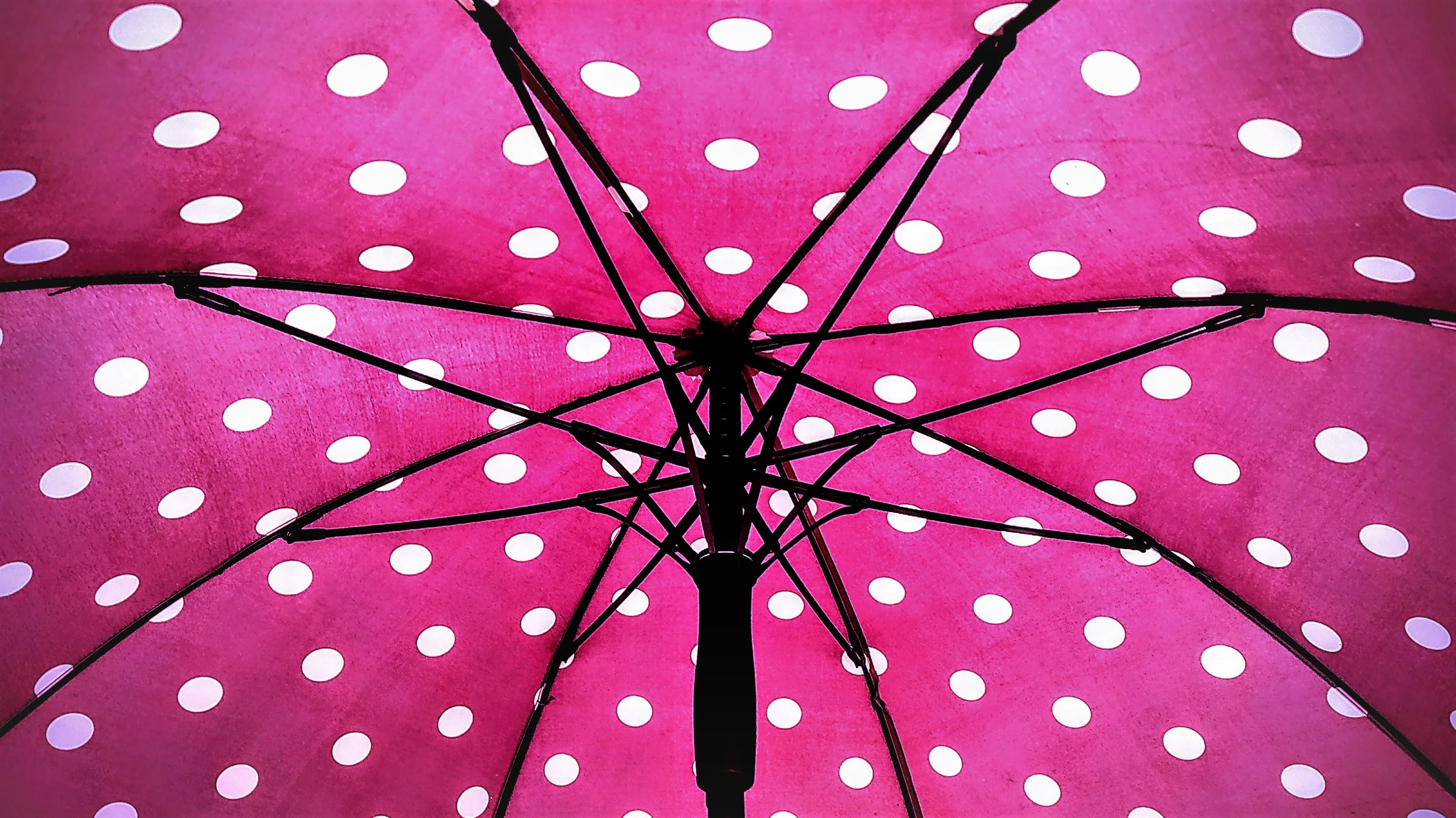 Polka Dots