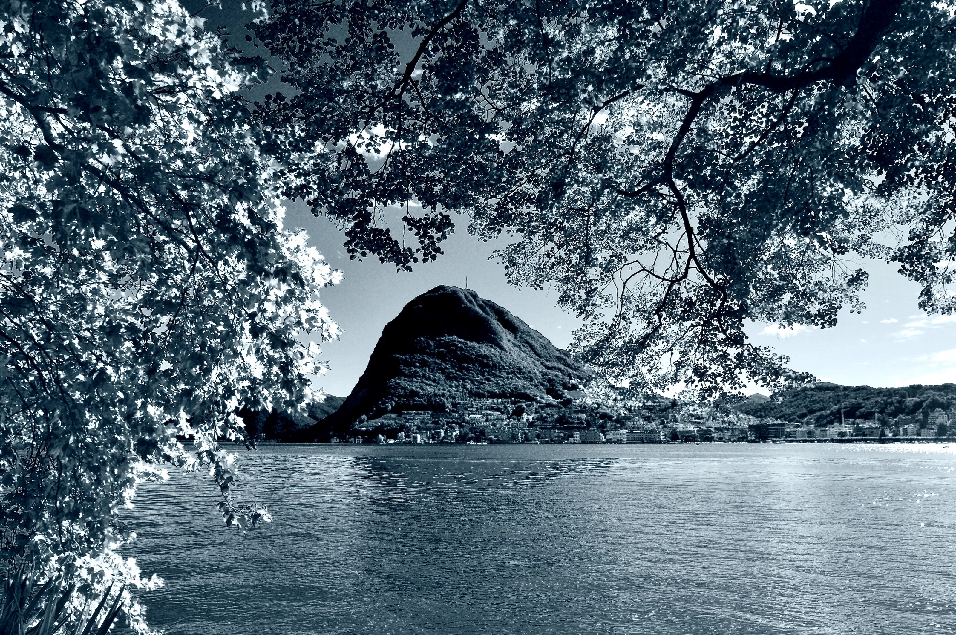 Infrared in Monochrome