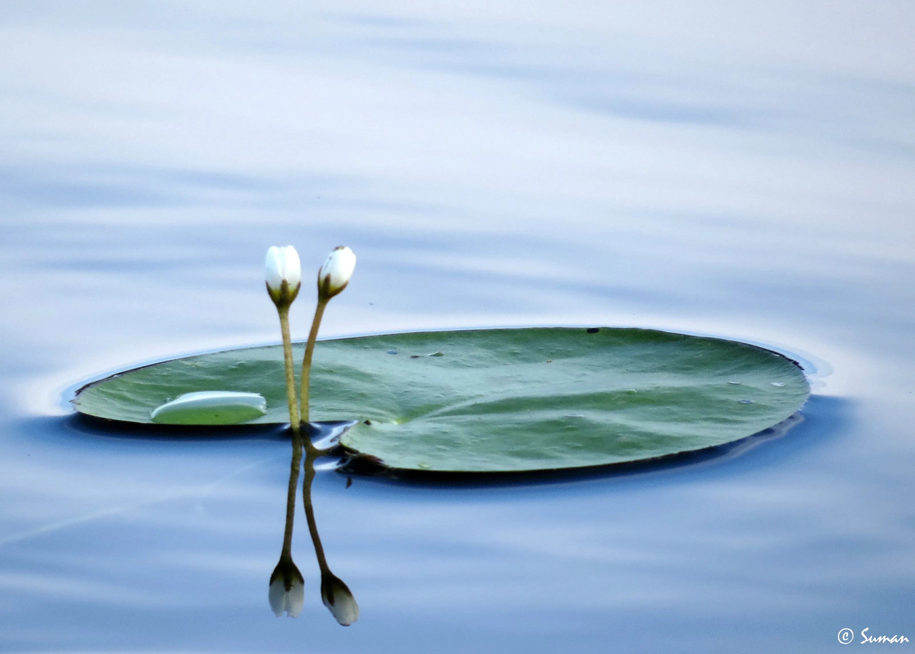 Reflection....