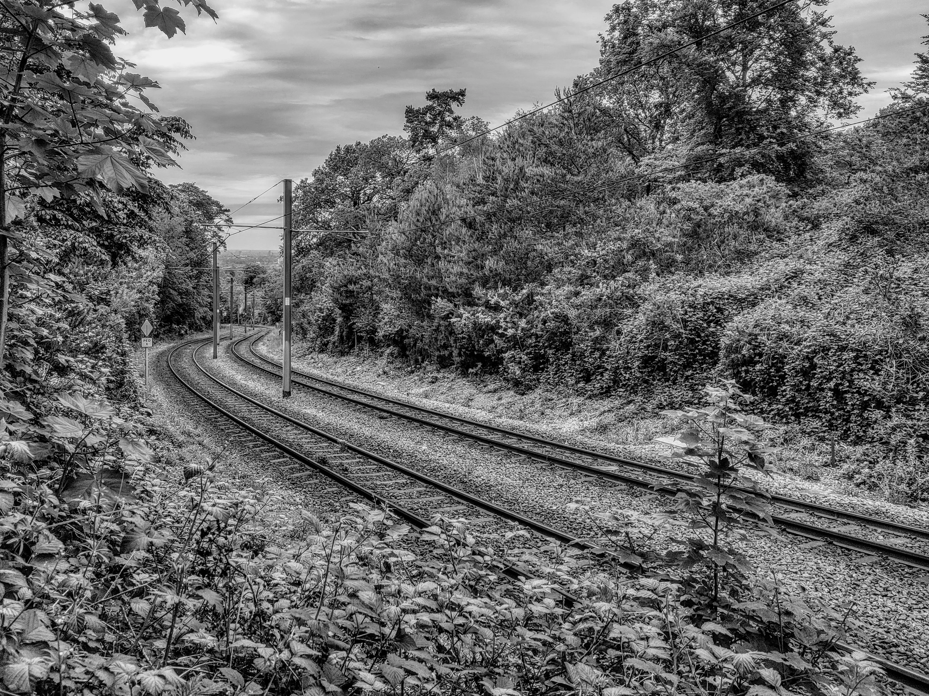 Empty Train Tracks in Black and White