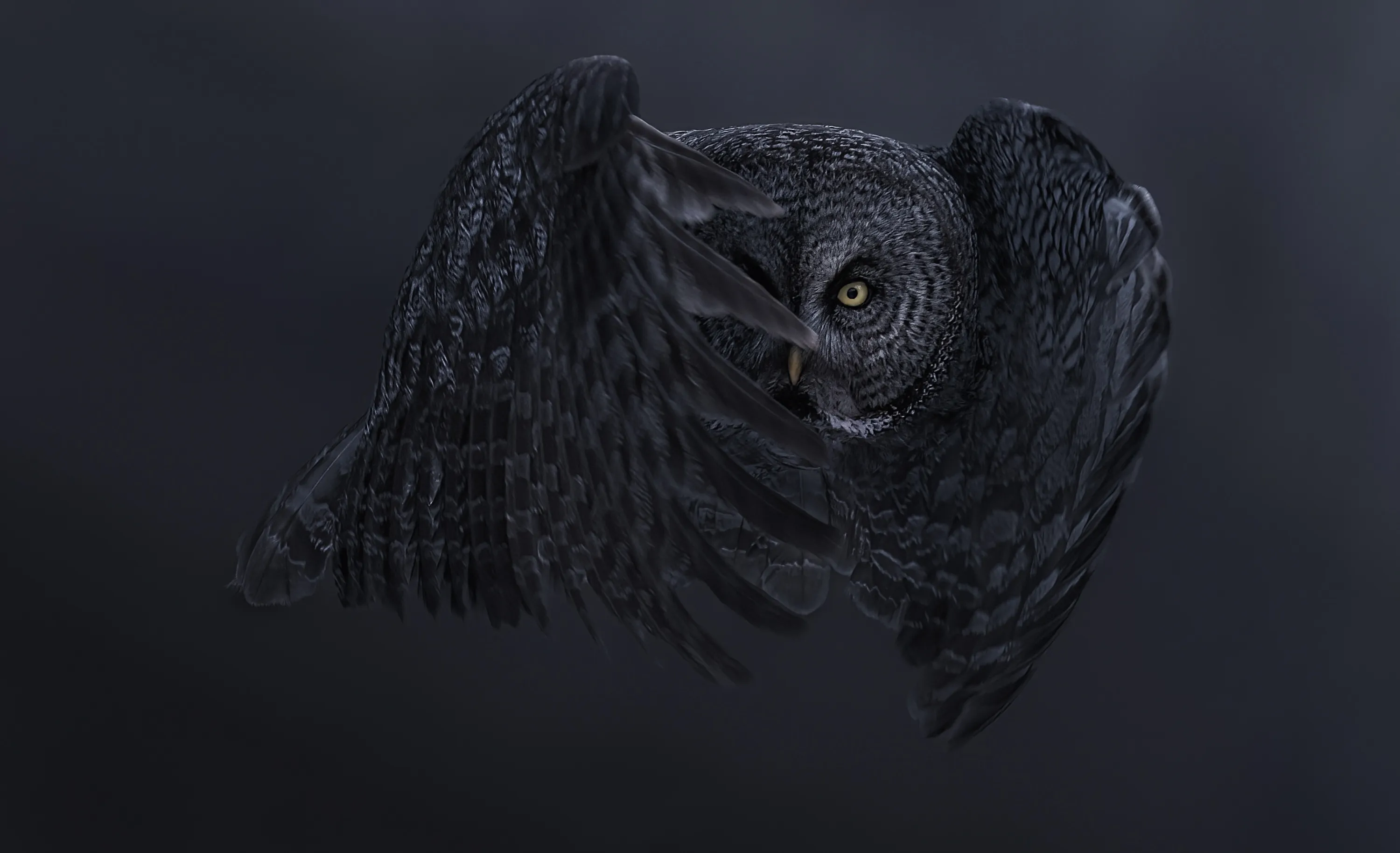 Birds of Prey