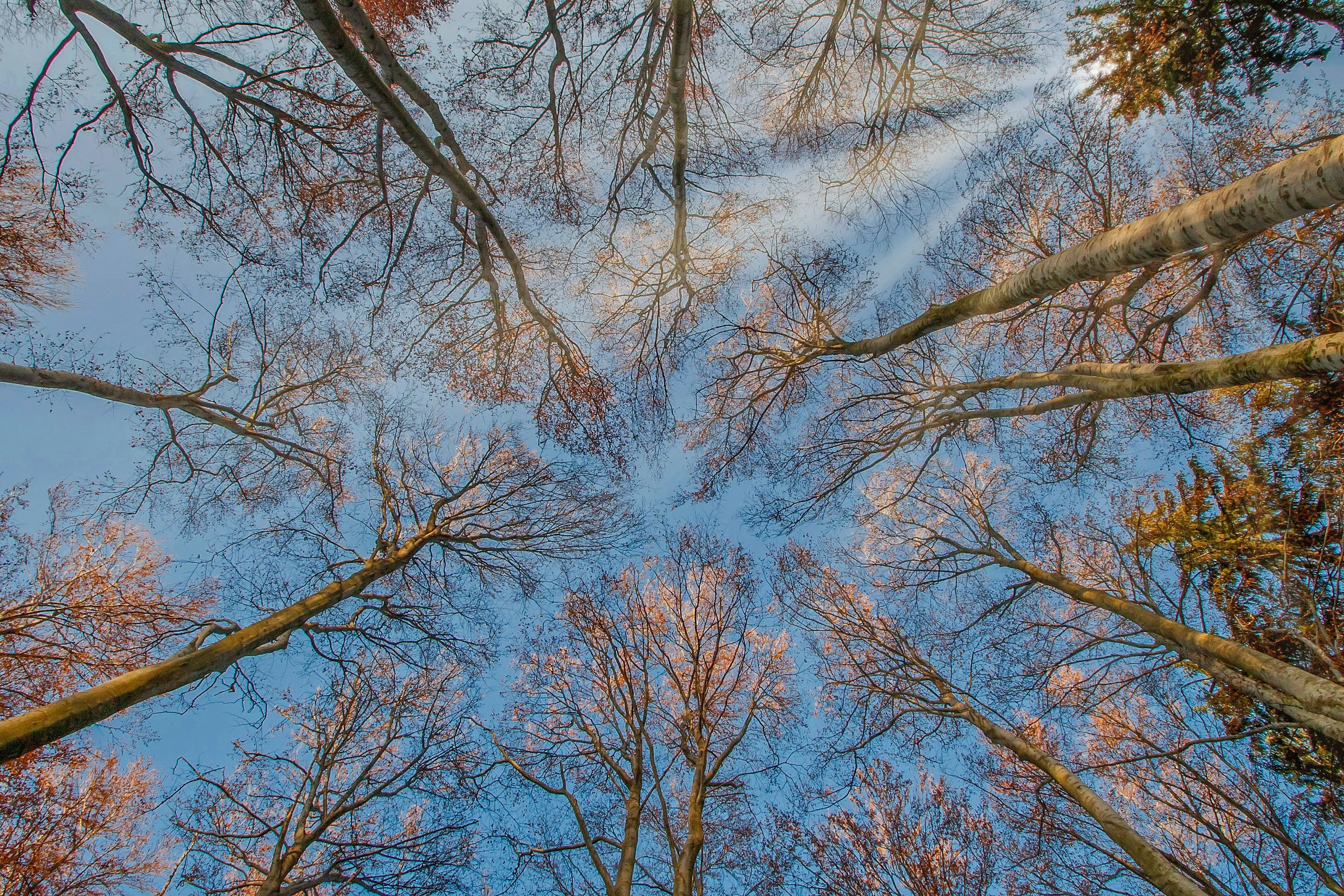 Pointing the Camera Upwards